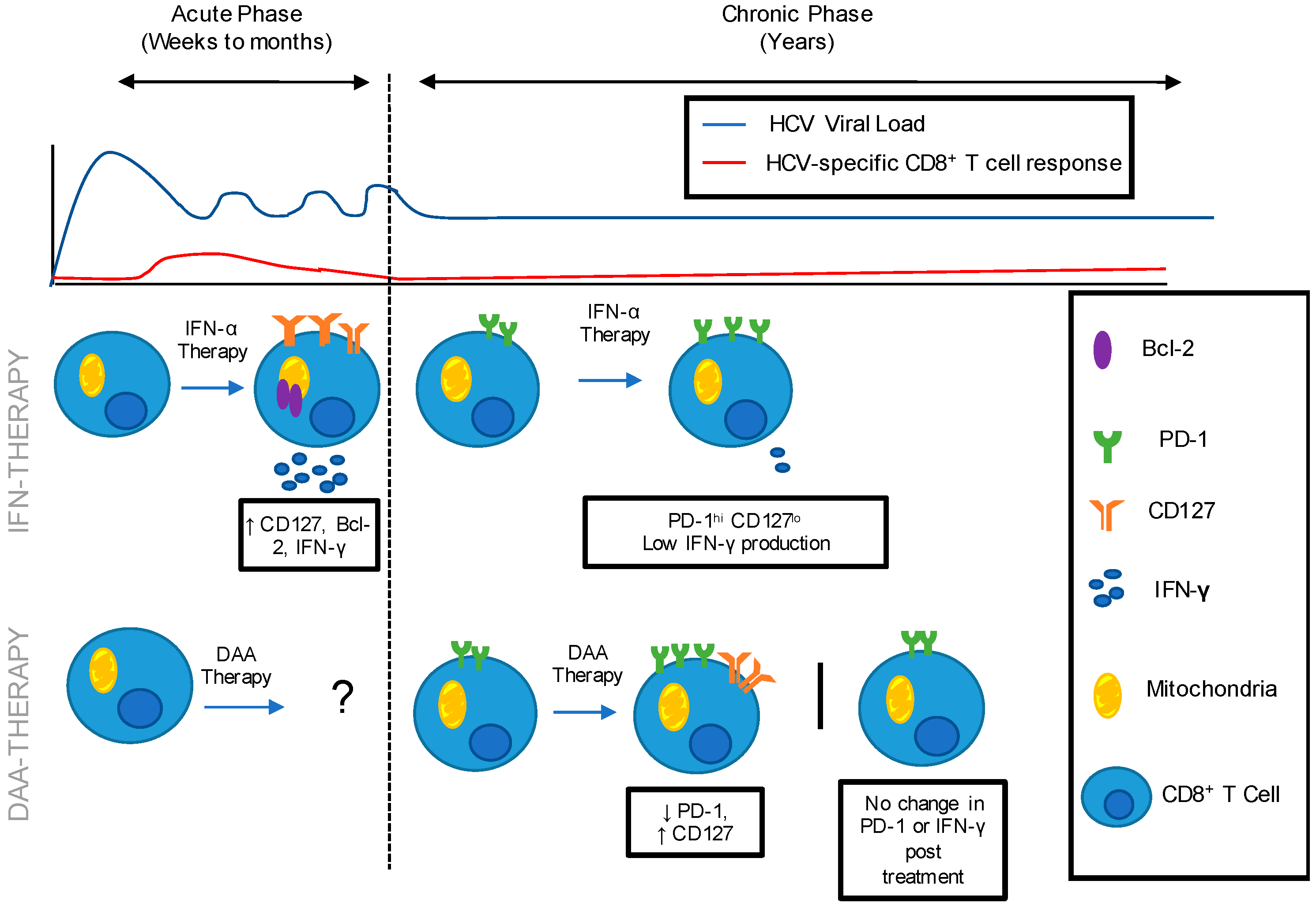 Cells, Free Full-Text