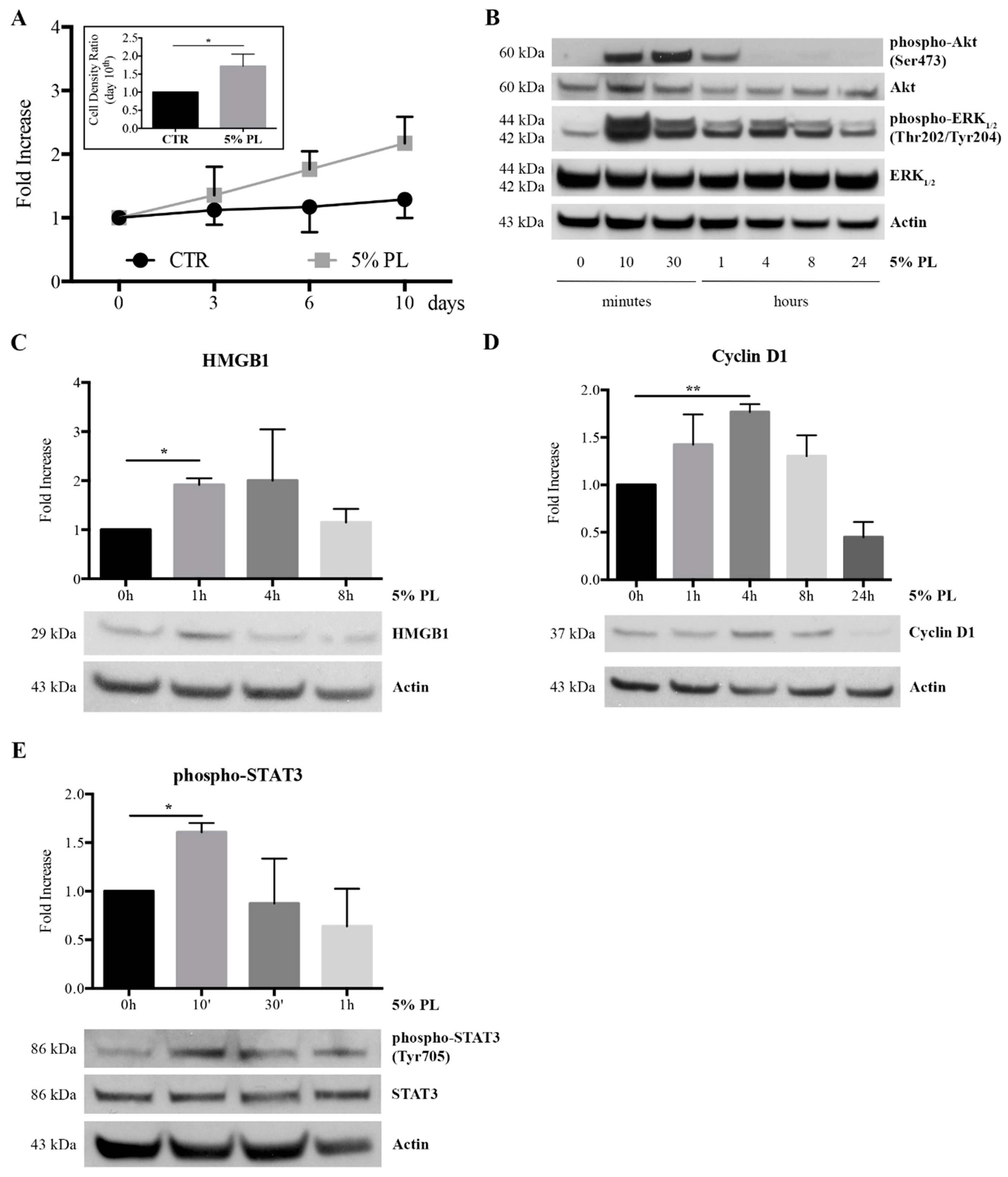 Cells 08 00331 g005