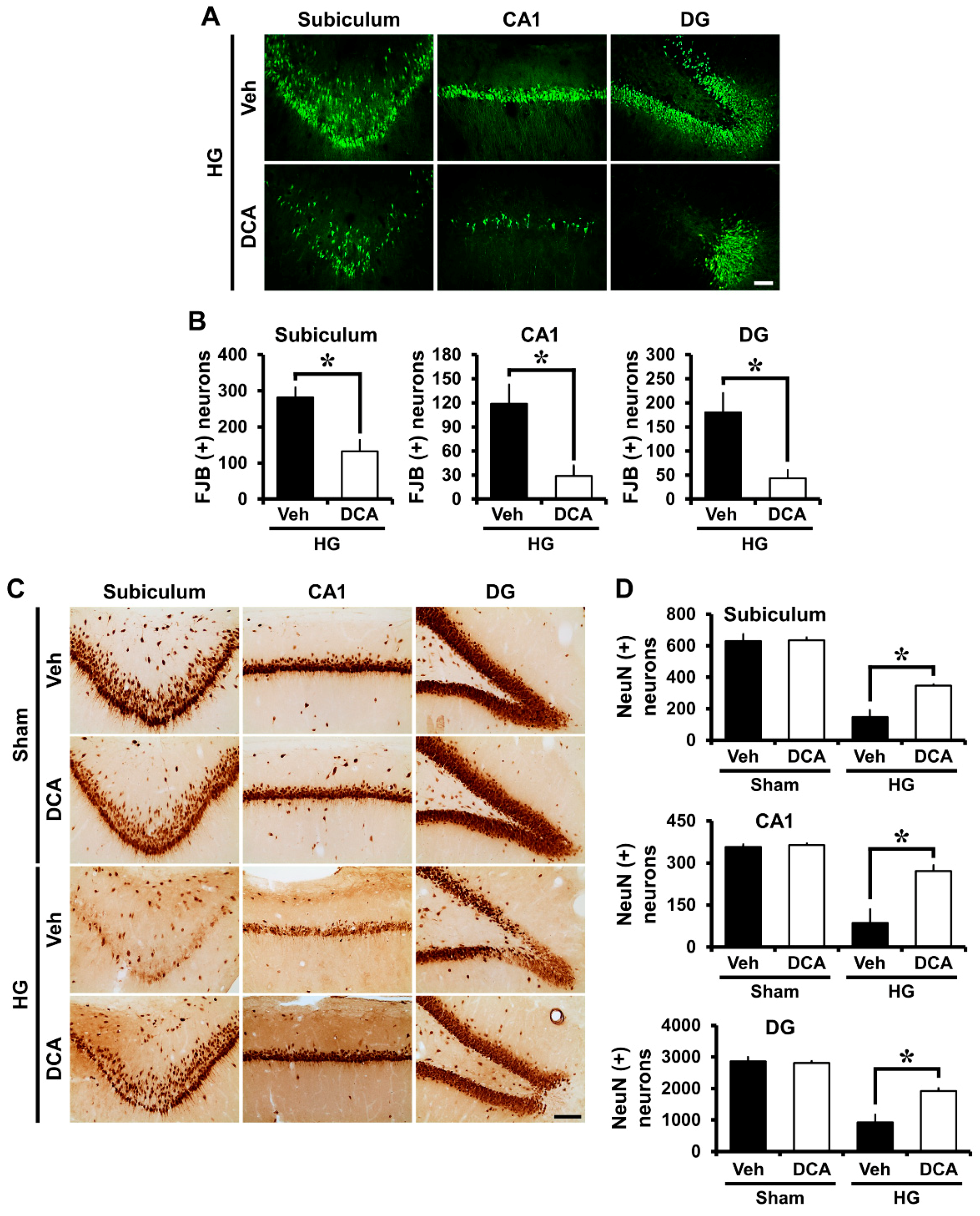 Cells 08 00405 g002