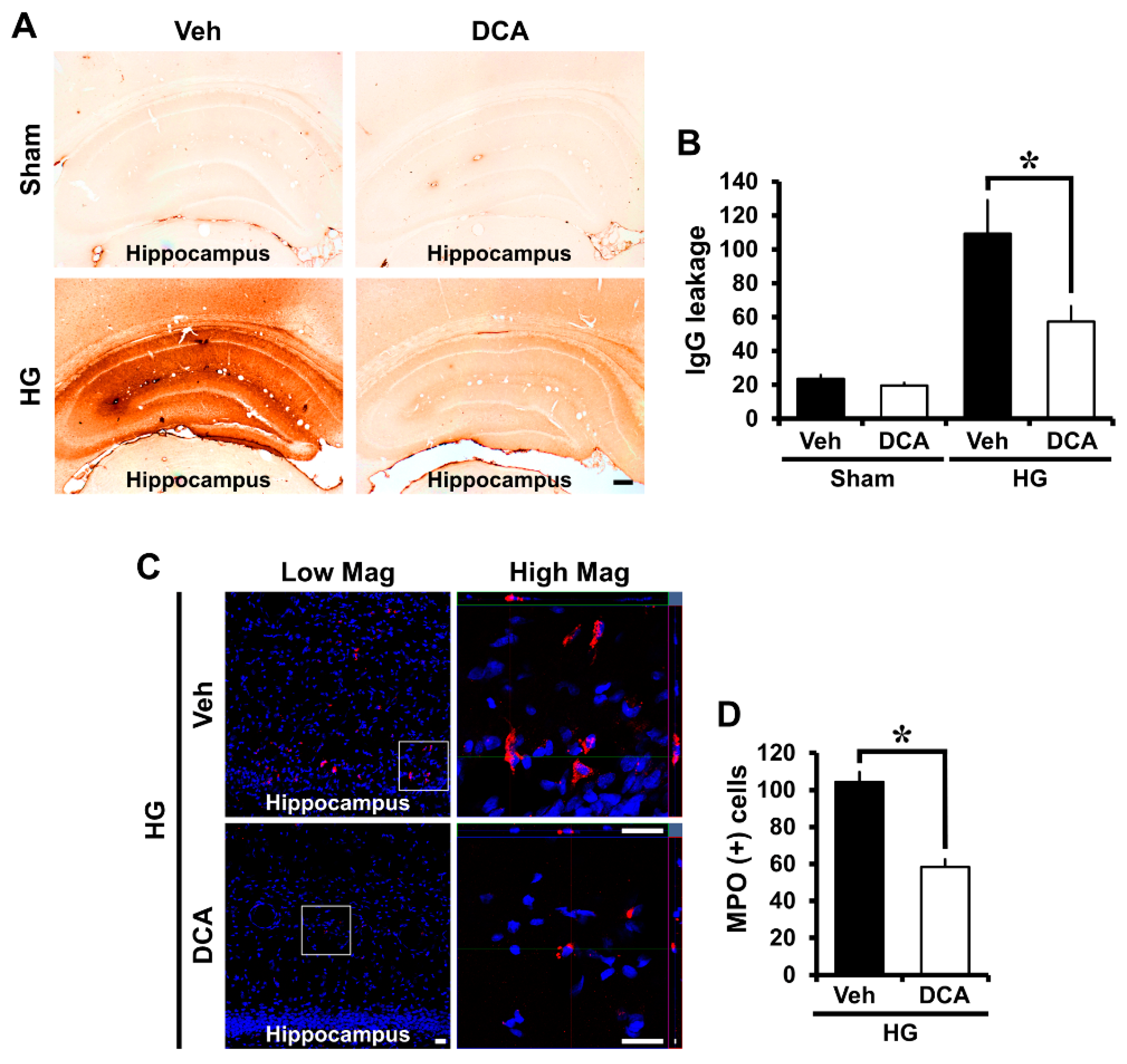 Cells 08 00405 g005