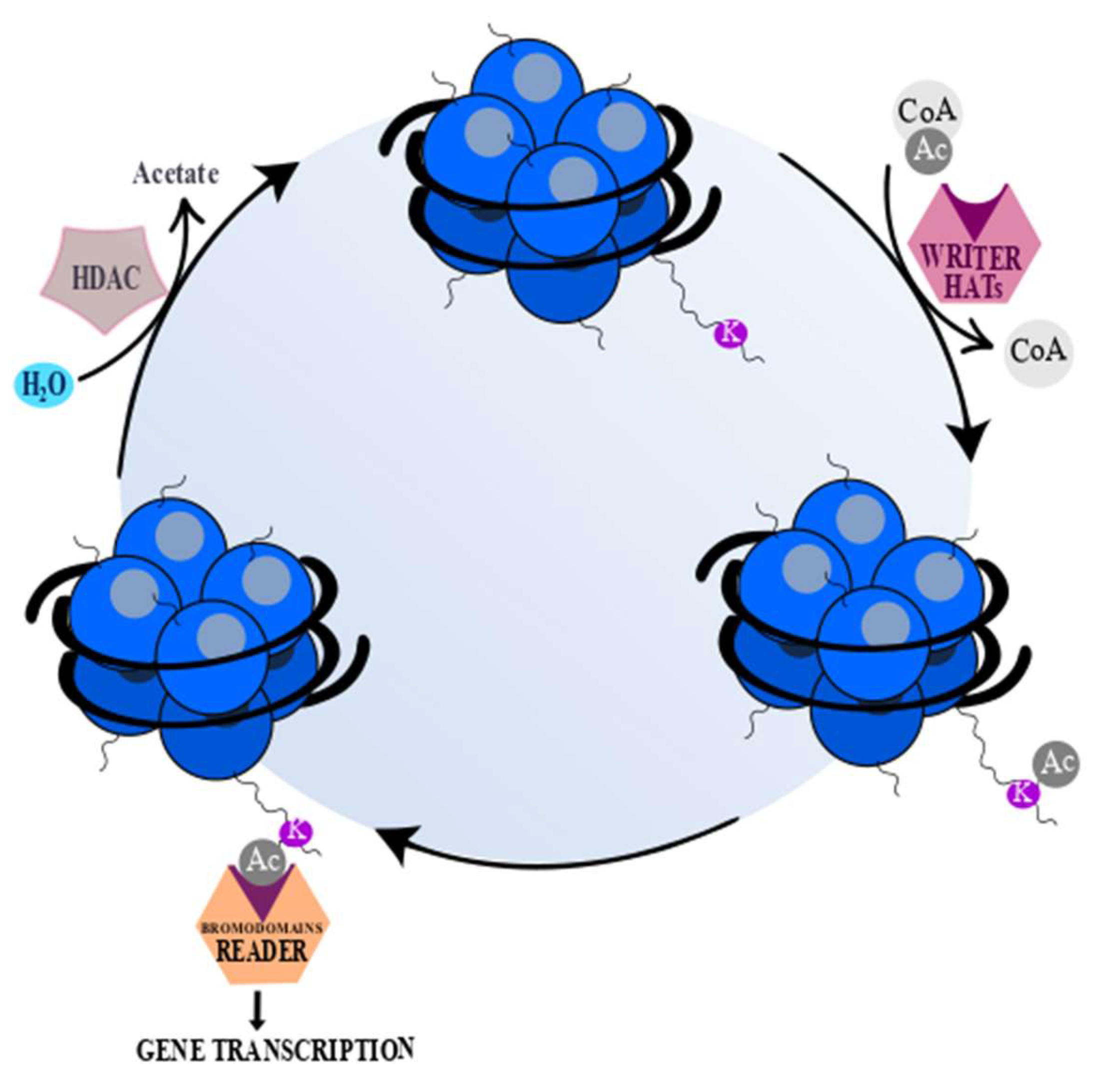 Cells 08 00485 g002 Cells 08 00485 g002