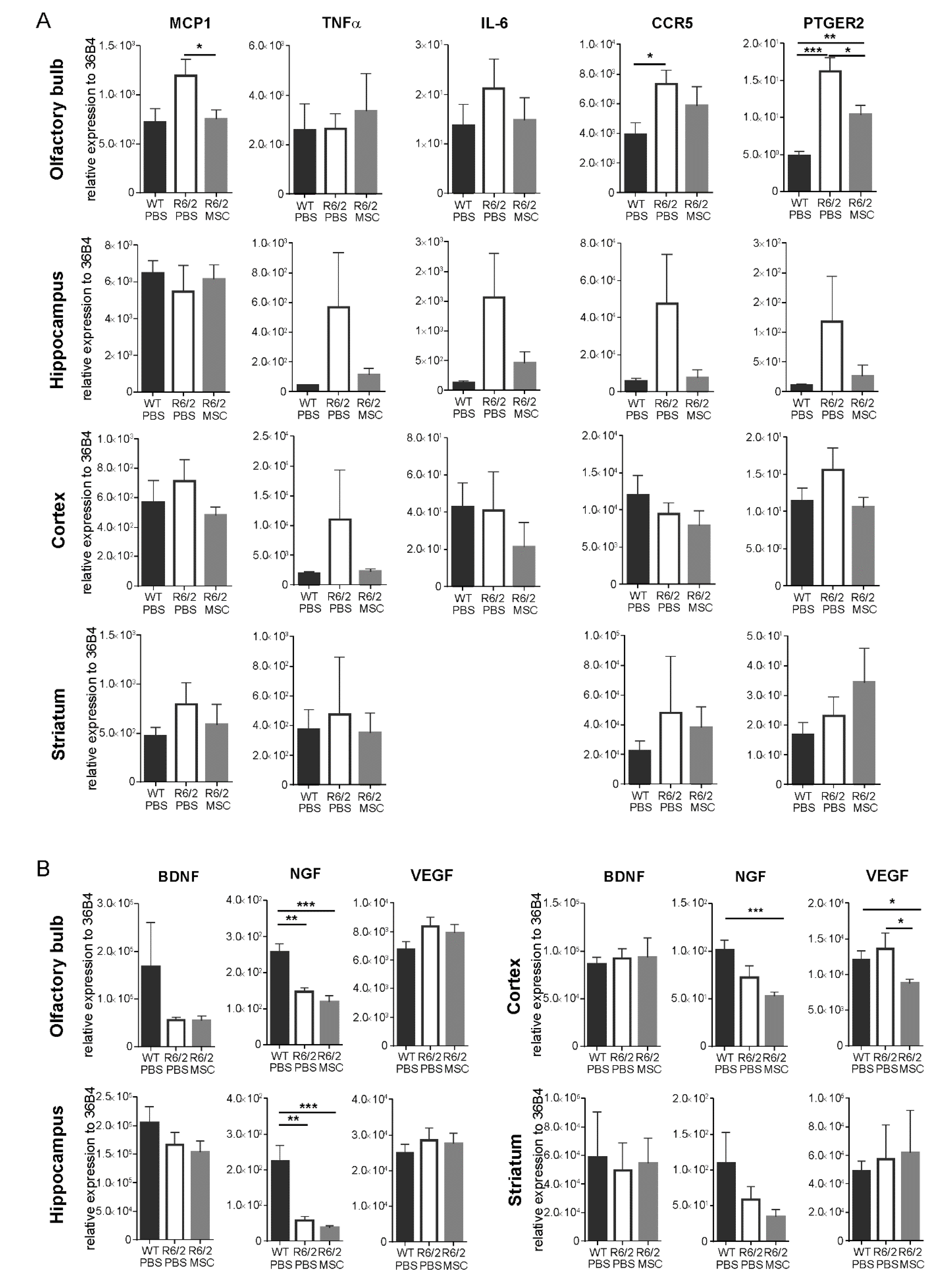 Cells 08 00595 g004 Cells 08 00595 g004
