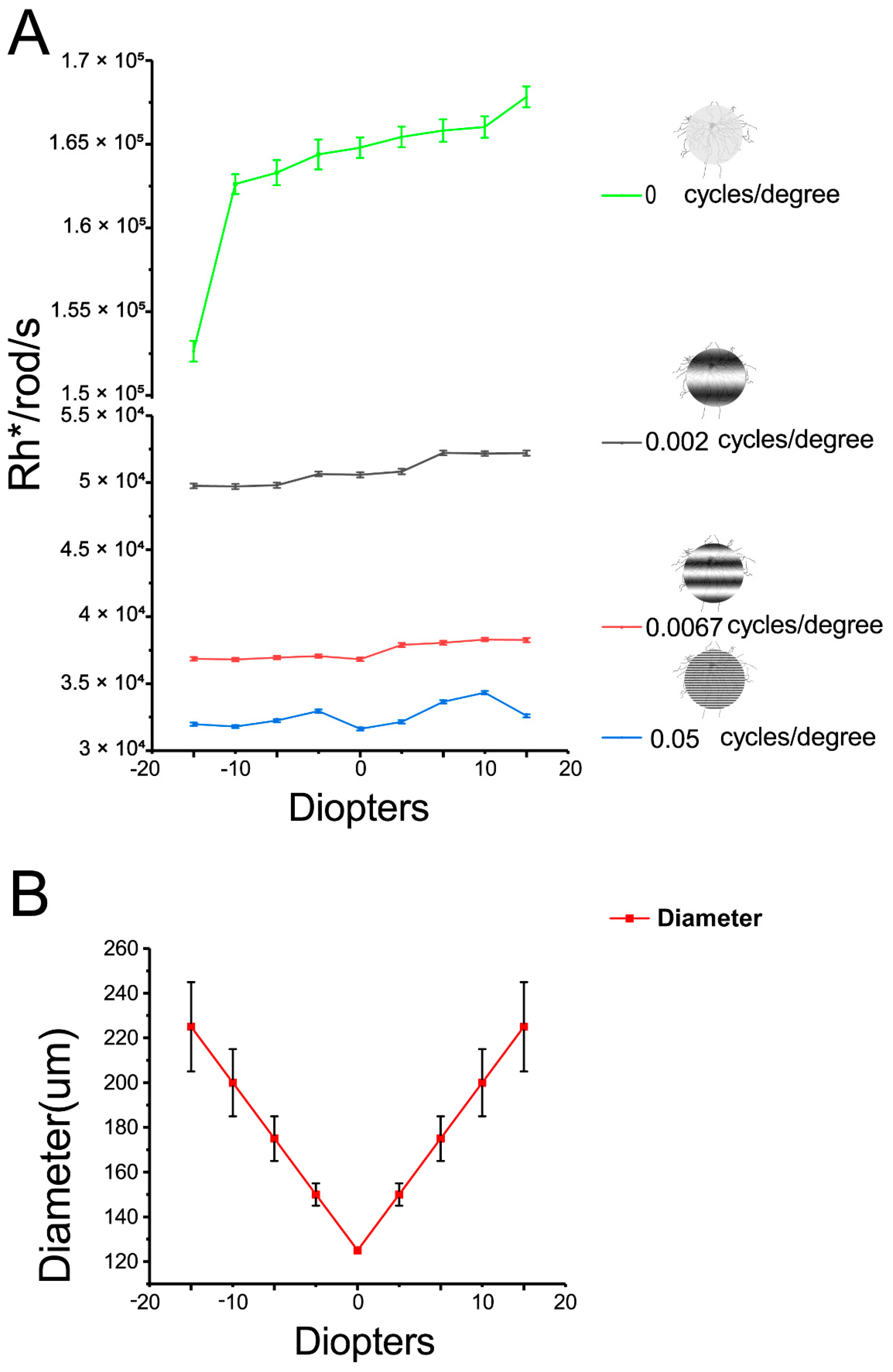 Cells 08 00640 g002 Cells 08 00640 g002