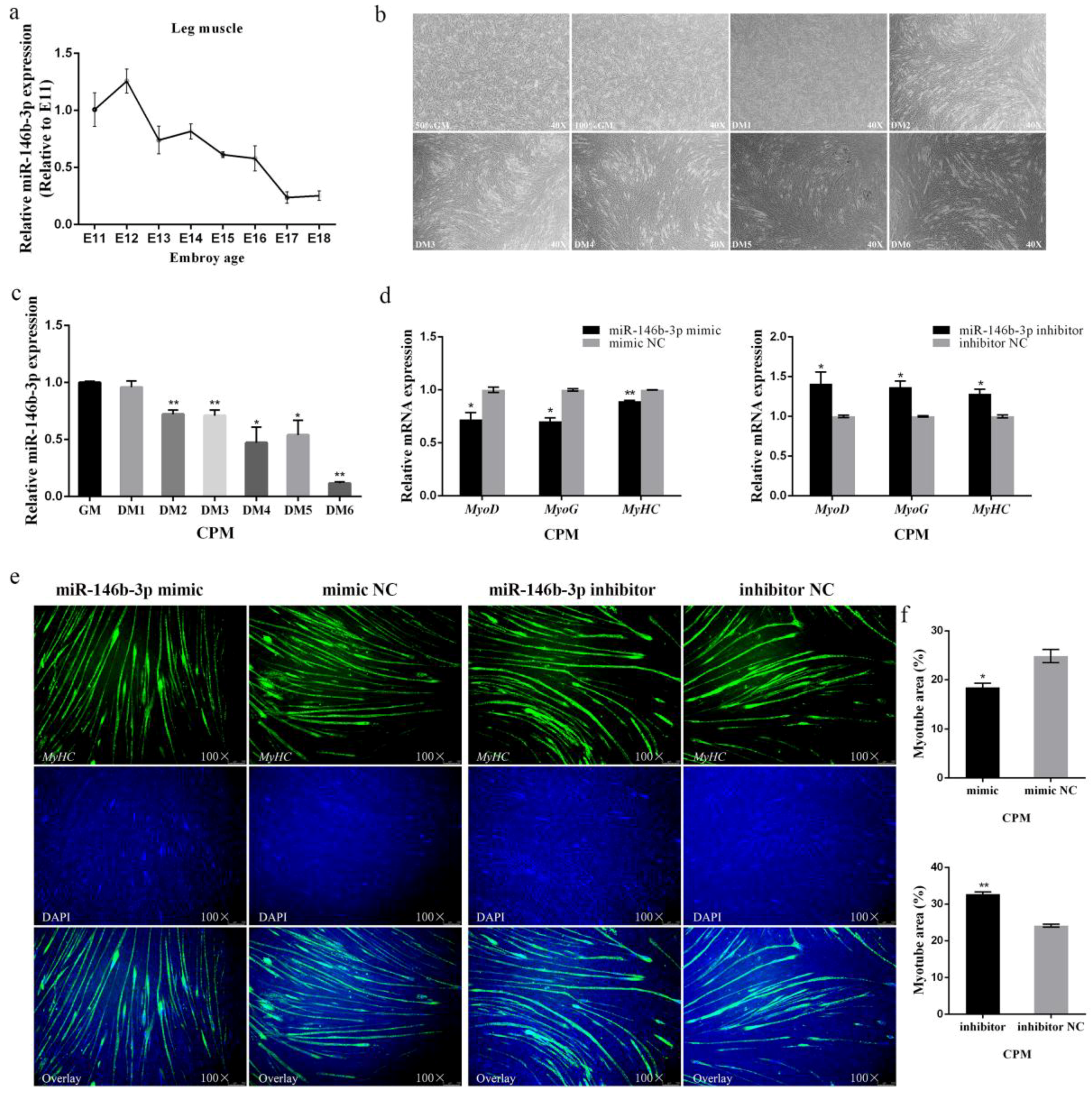 Cells 08 00656 g002 Cells 08 00656 g002