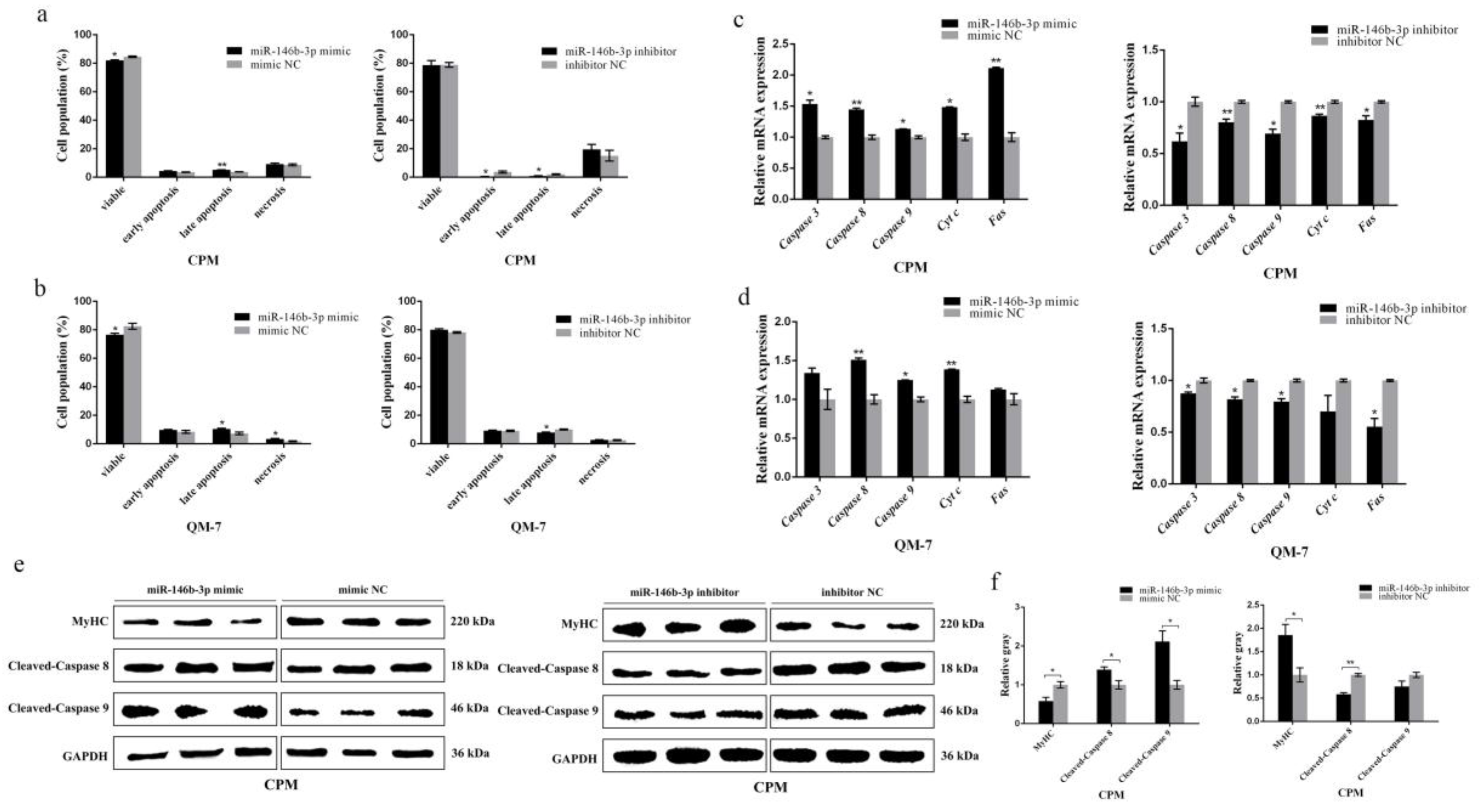 Cells 08 00656 g003 Cells 08 00656 g003