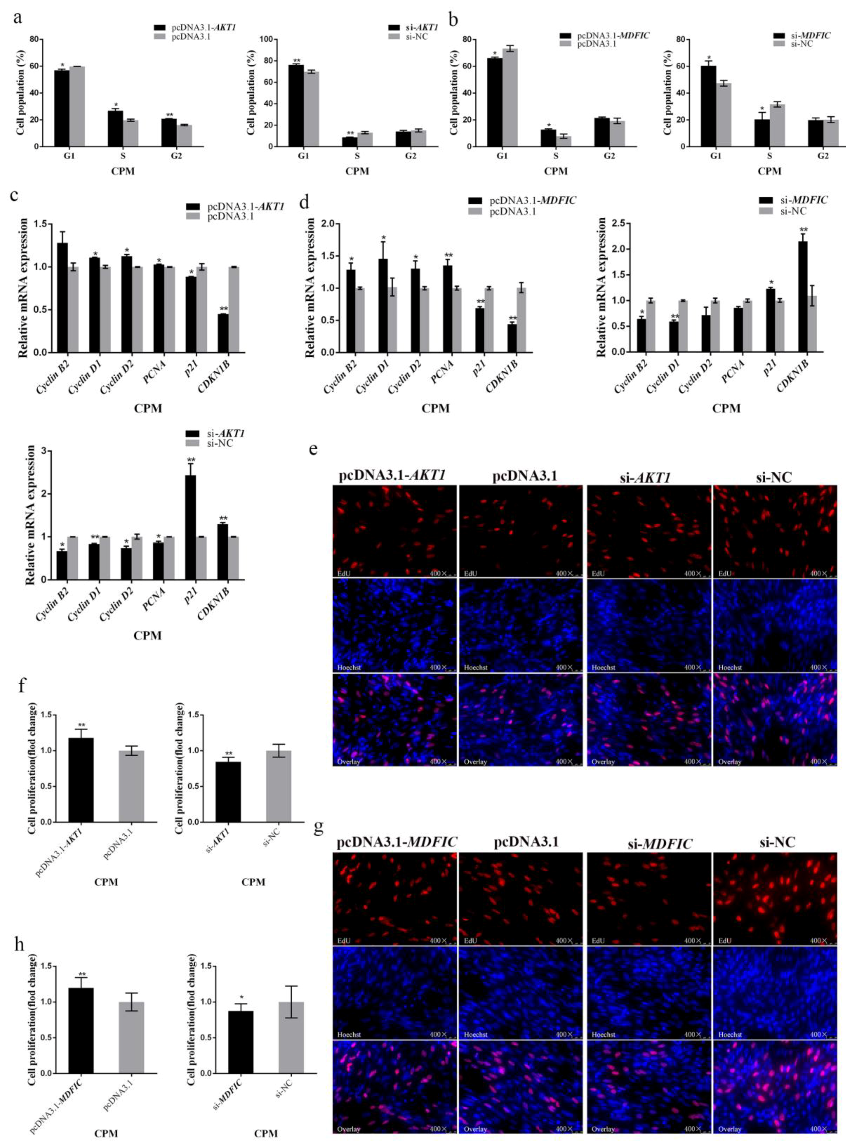 Cells 08 00656 g005 Cells 08 00656 g005