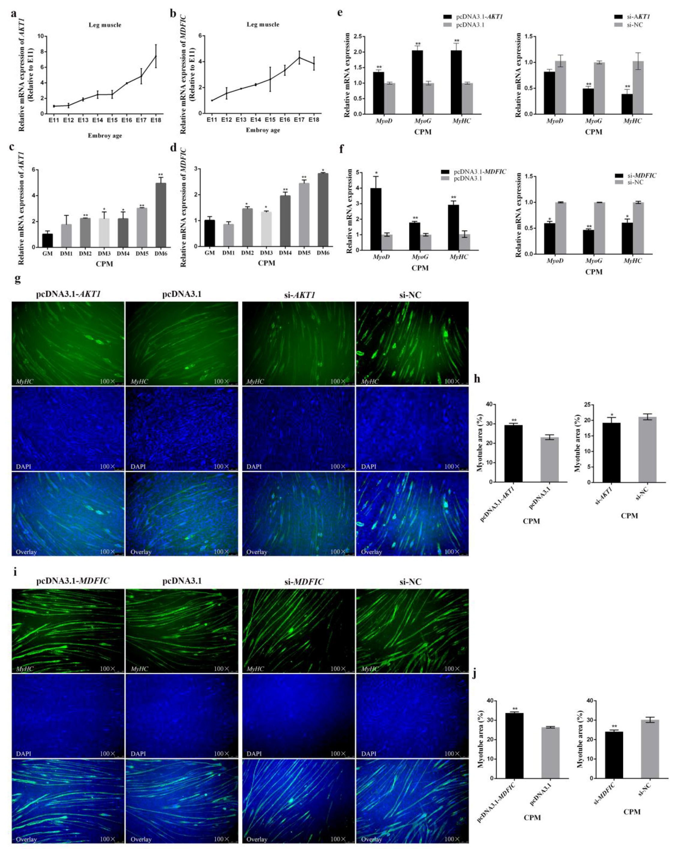 Cells 08 00656 g006 Cells 08 00656 g006