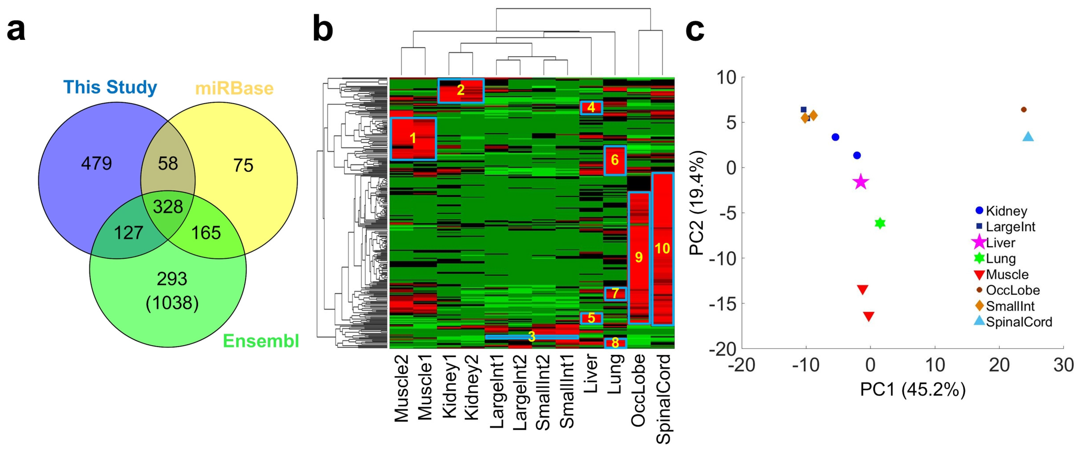 Cells 08 00682 g001 Cells 08 00682 g001