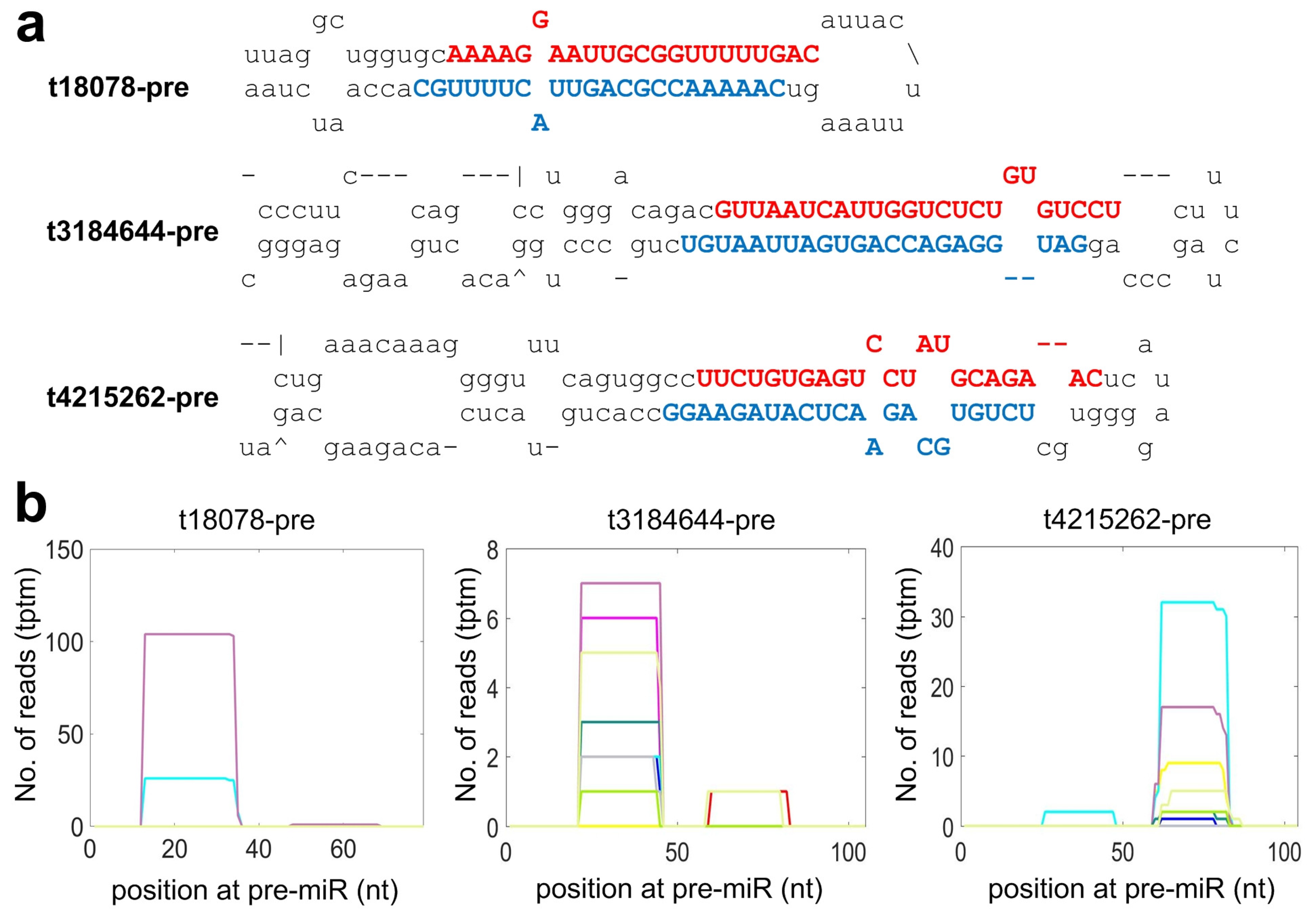 Cells 08 00682 g002 Cells 08 00682 g002