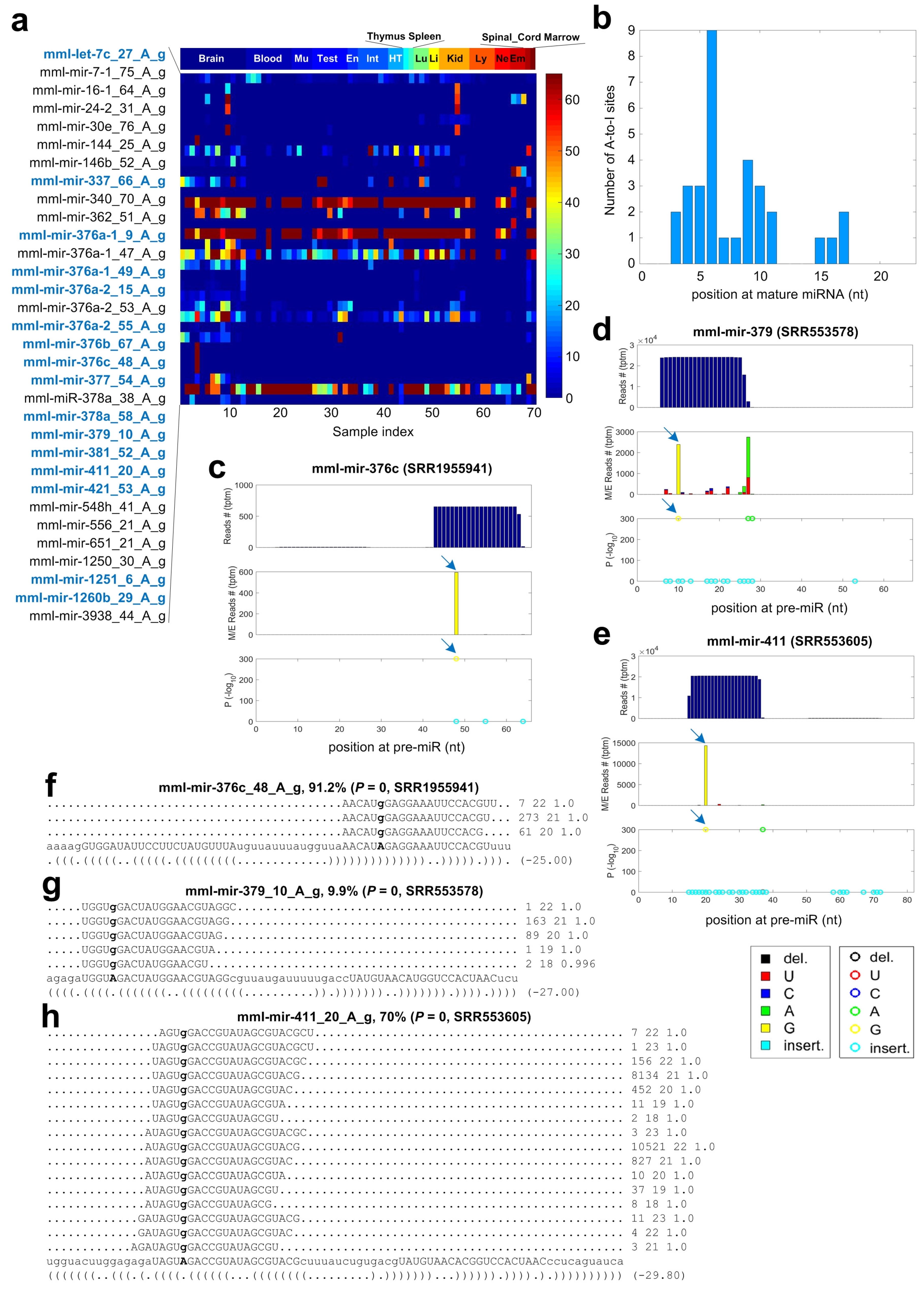 Cells 08 00682 g004 Cells 08 00682 g004