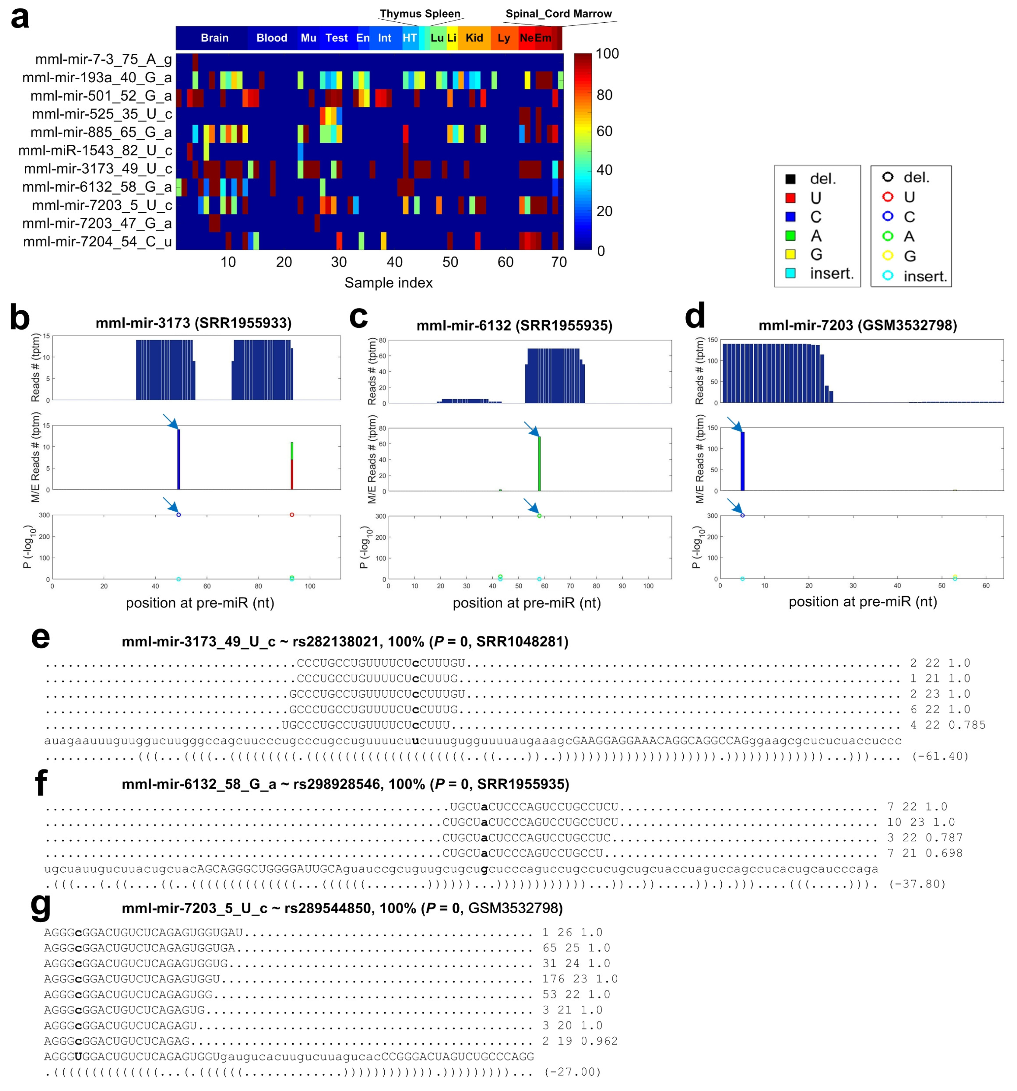 Cells 08 00682 g006 Cells 08 00682 g006
