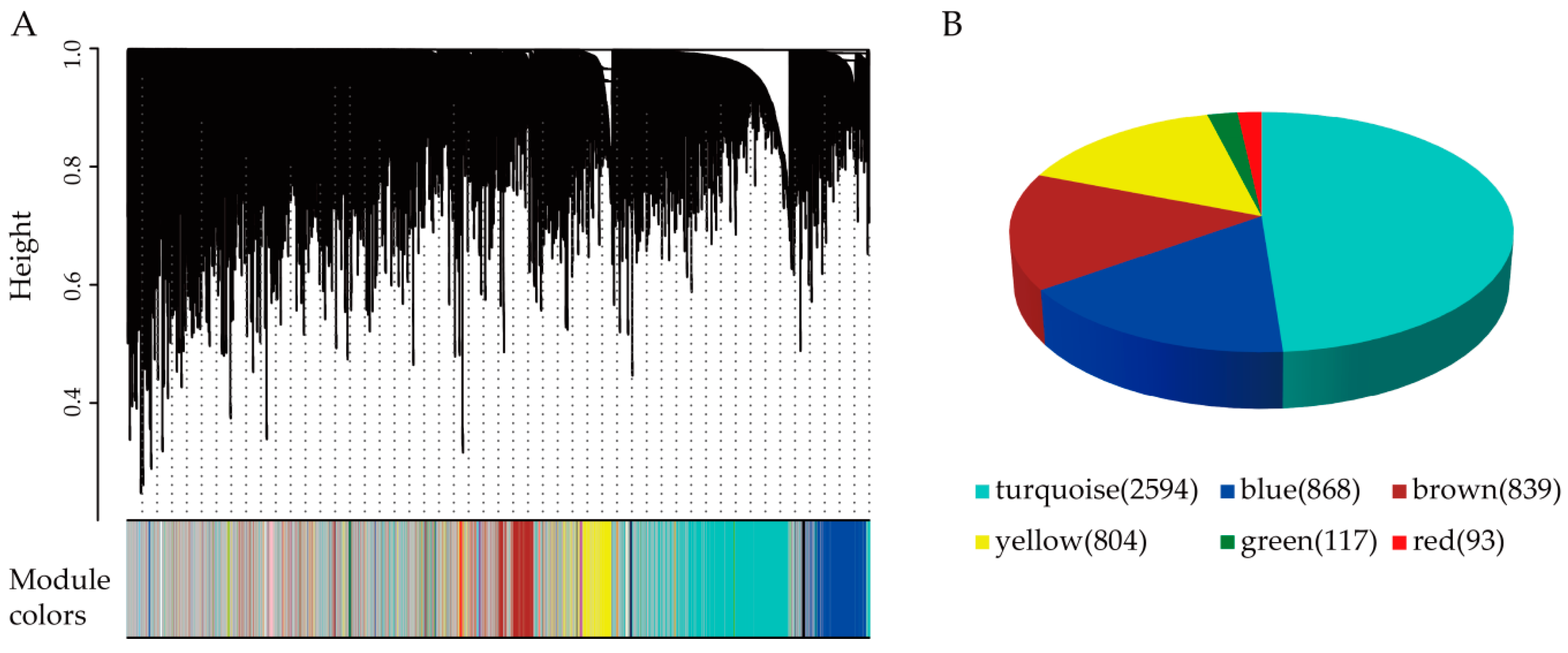 Cells 08 00698 g002 Cells 08 00698 g002