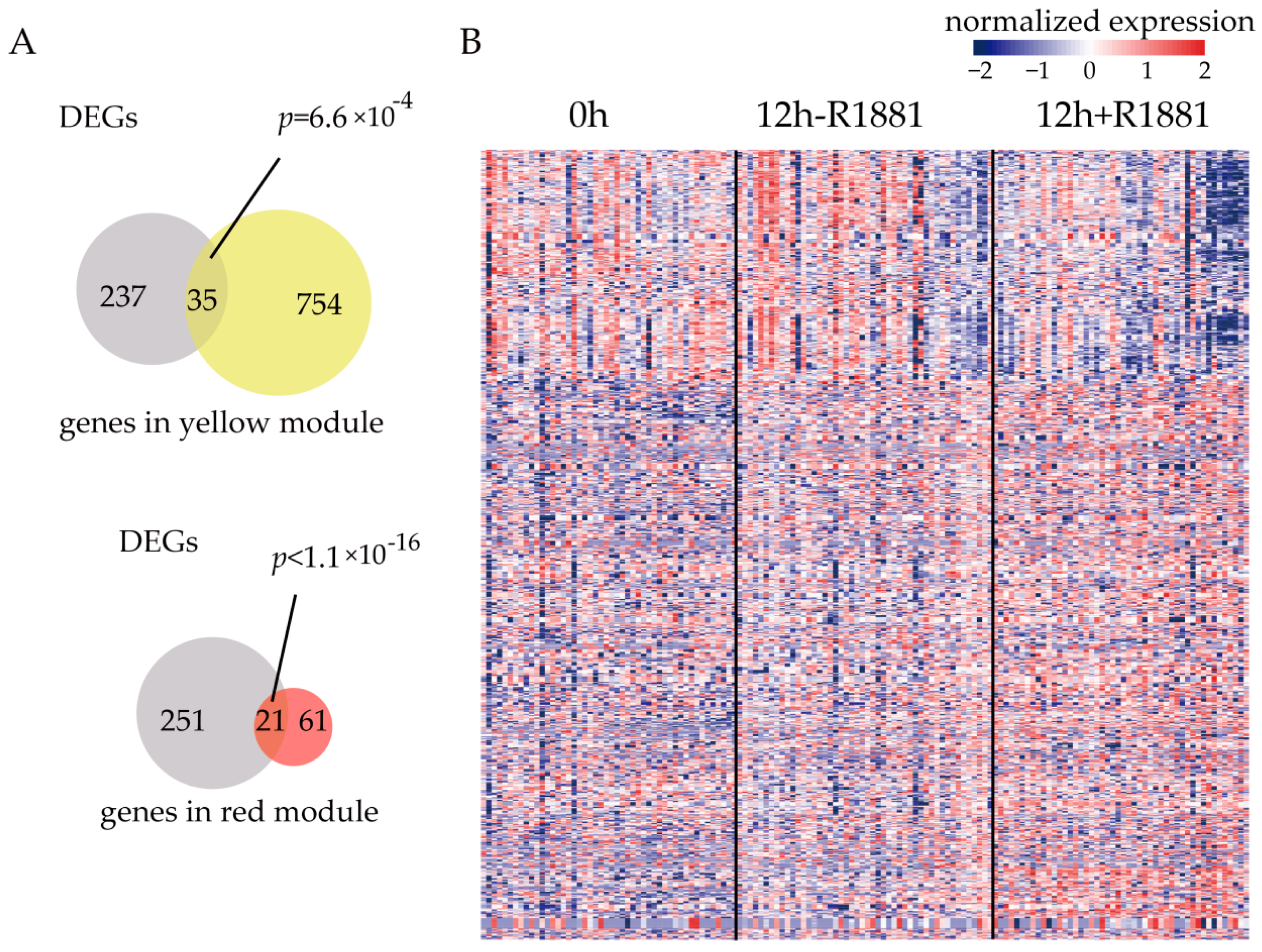 Cells 08 00698 g003 Cells 08 00698 g003