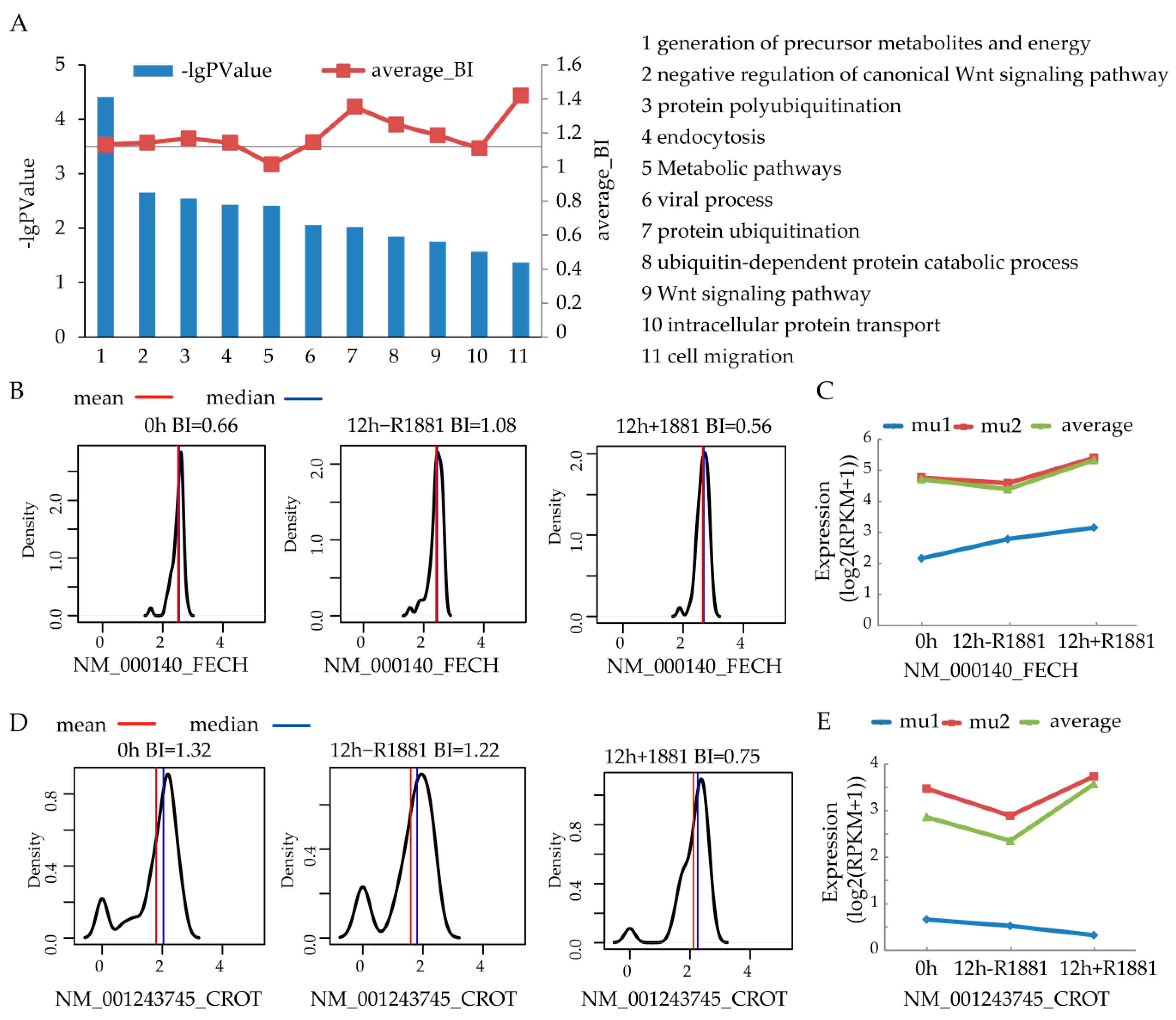 Cells 08 00698 g004 Cells 08 00698 g004