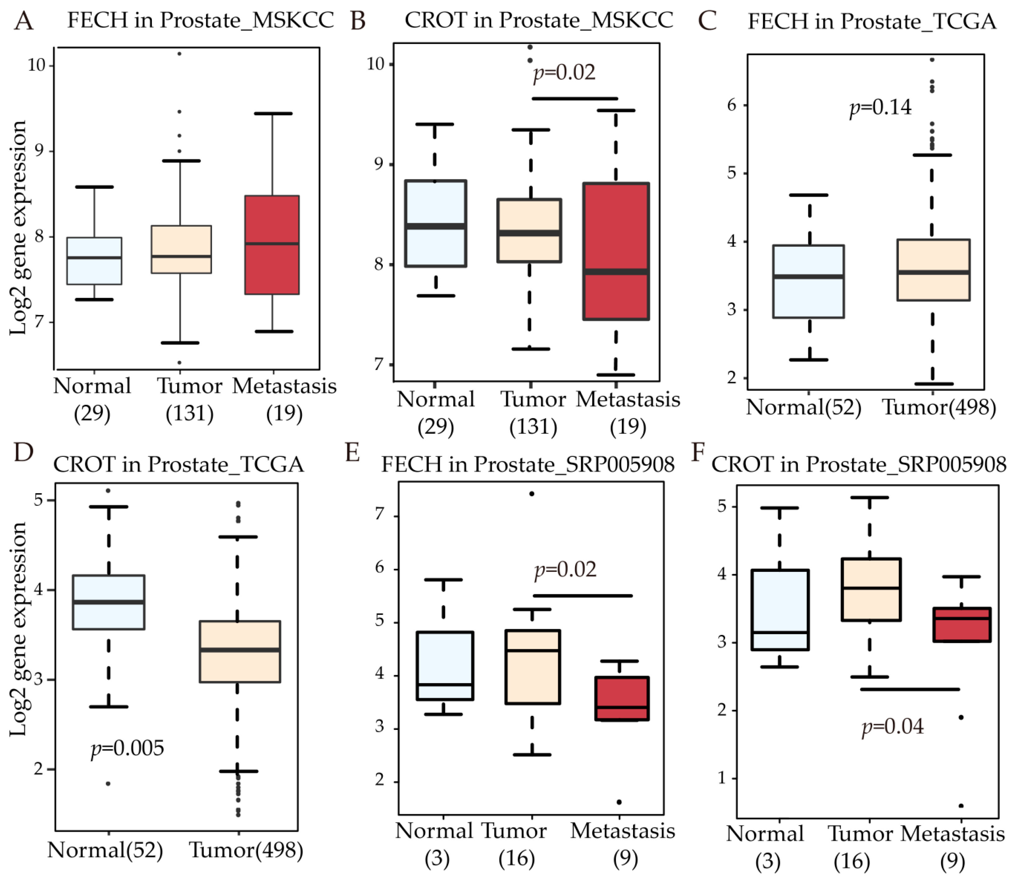 Cells 08 00698 g005 Cells 08 00698 g005