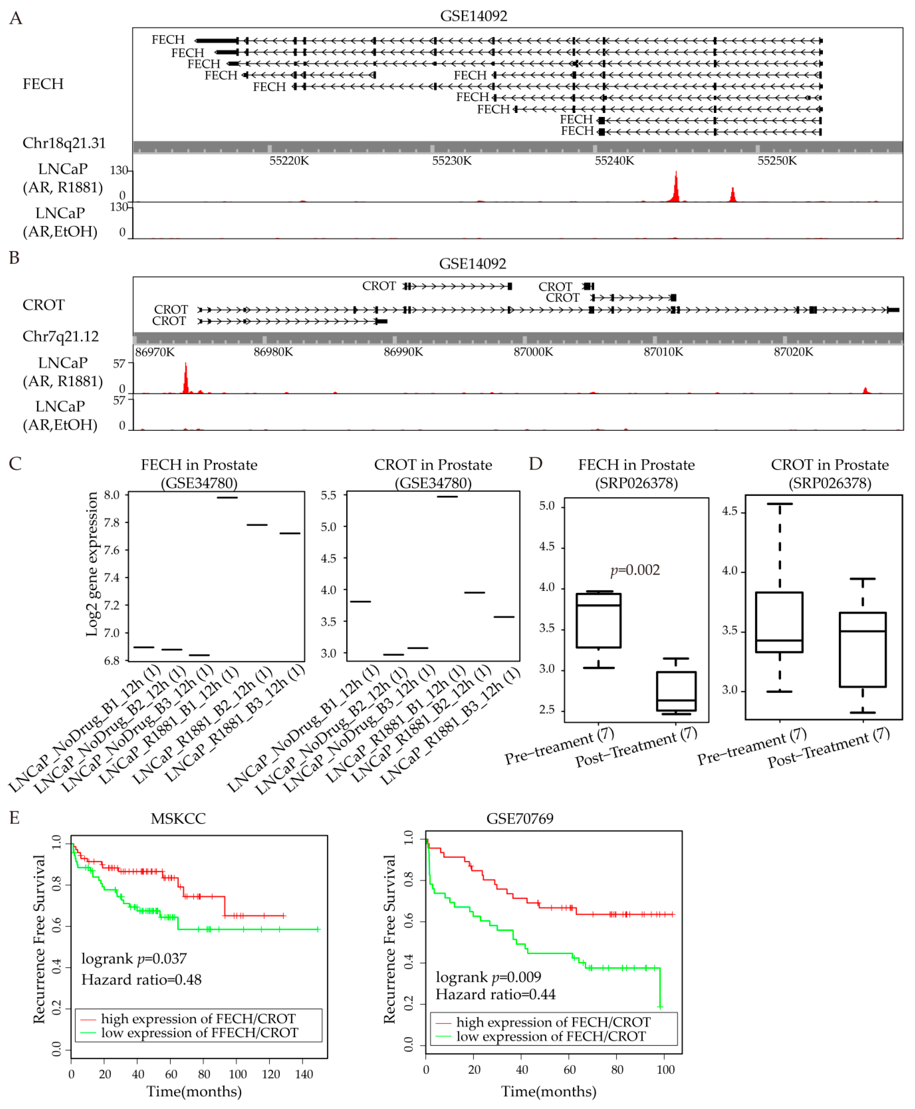 Cells 08 00698 g006 Cells 08 00698 g006