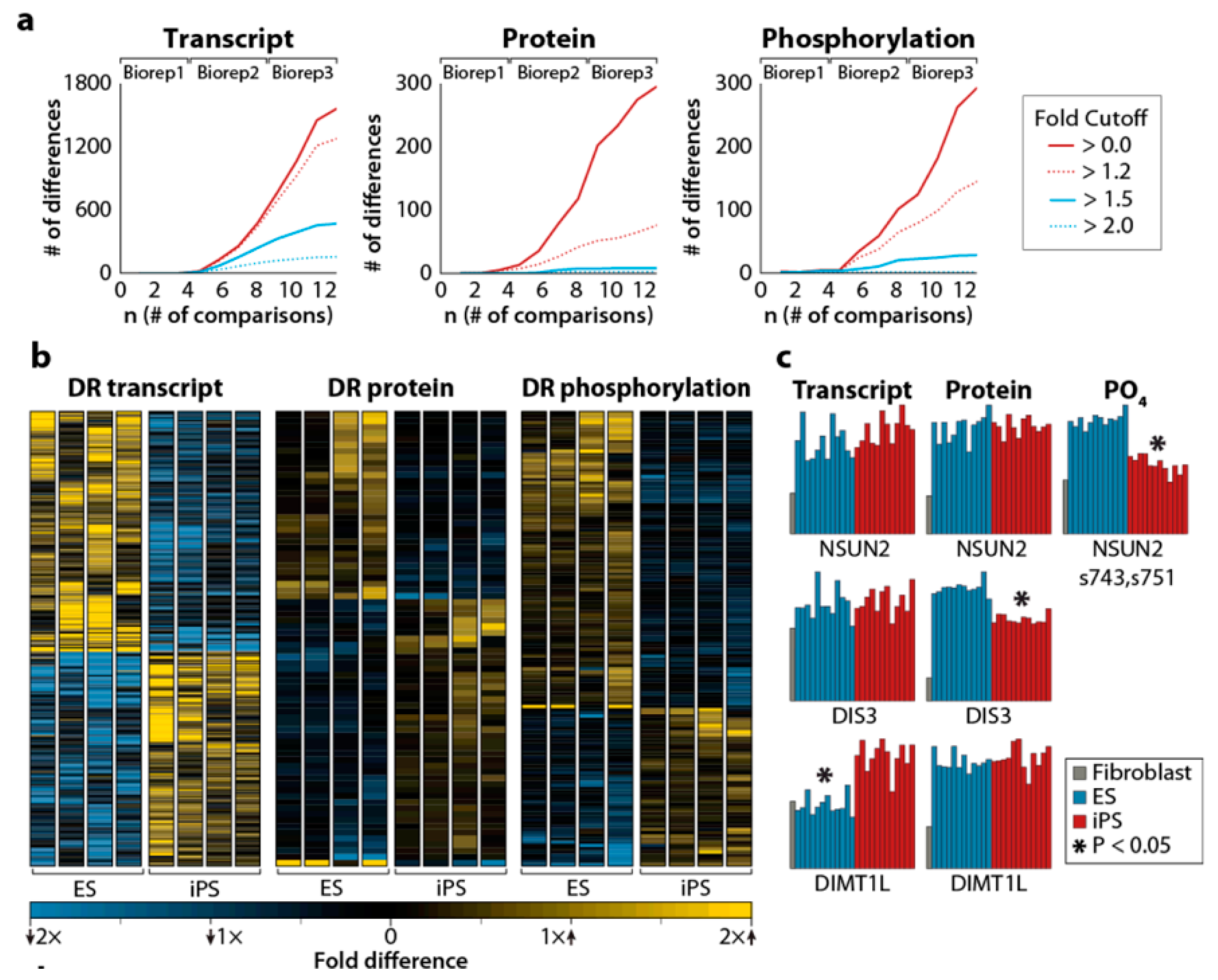 Cells 08 00703 g002 Cells 08 00703 g002