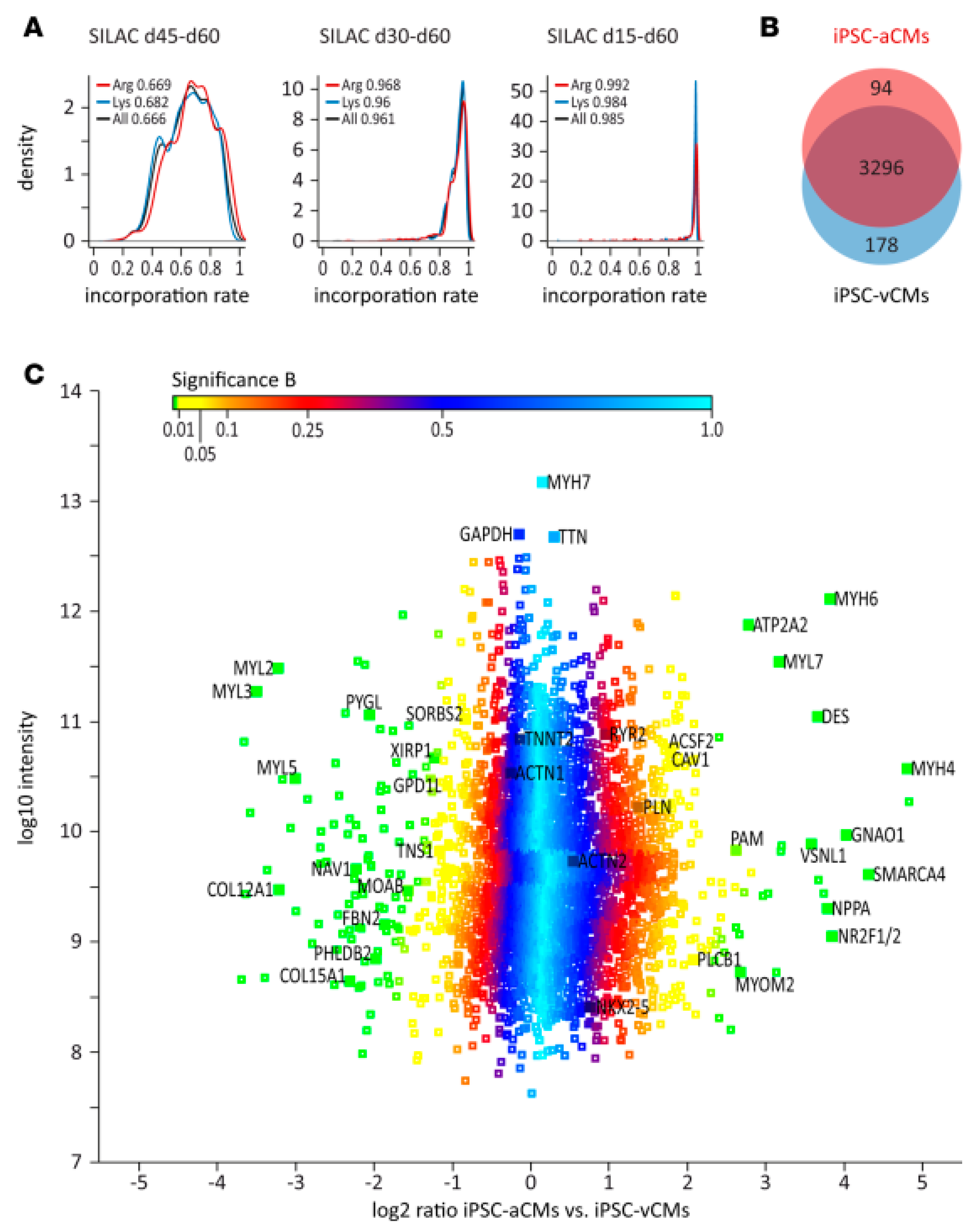 Cells 08 00703 g005 Cells 08 00703 g005