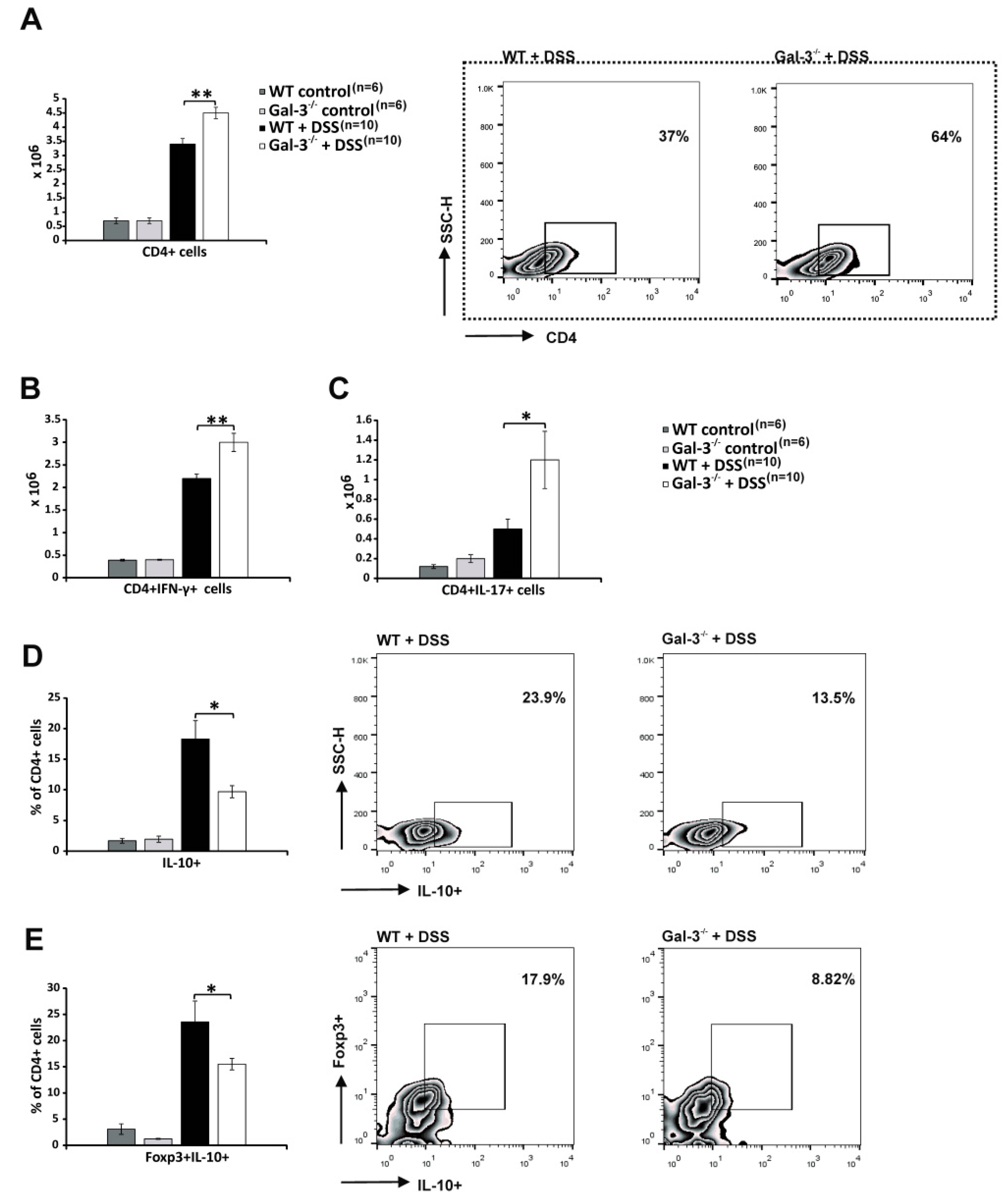 Cells 08 00709 g003 Cells 08 00709 g003