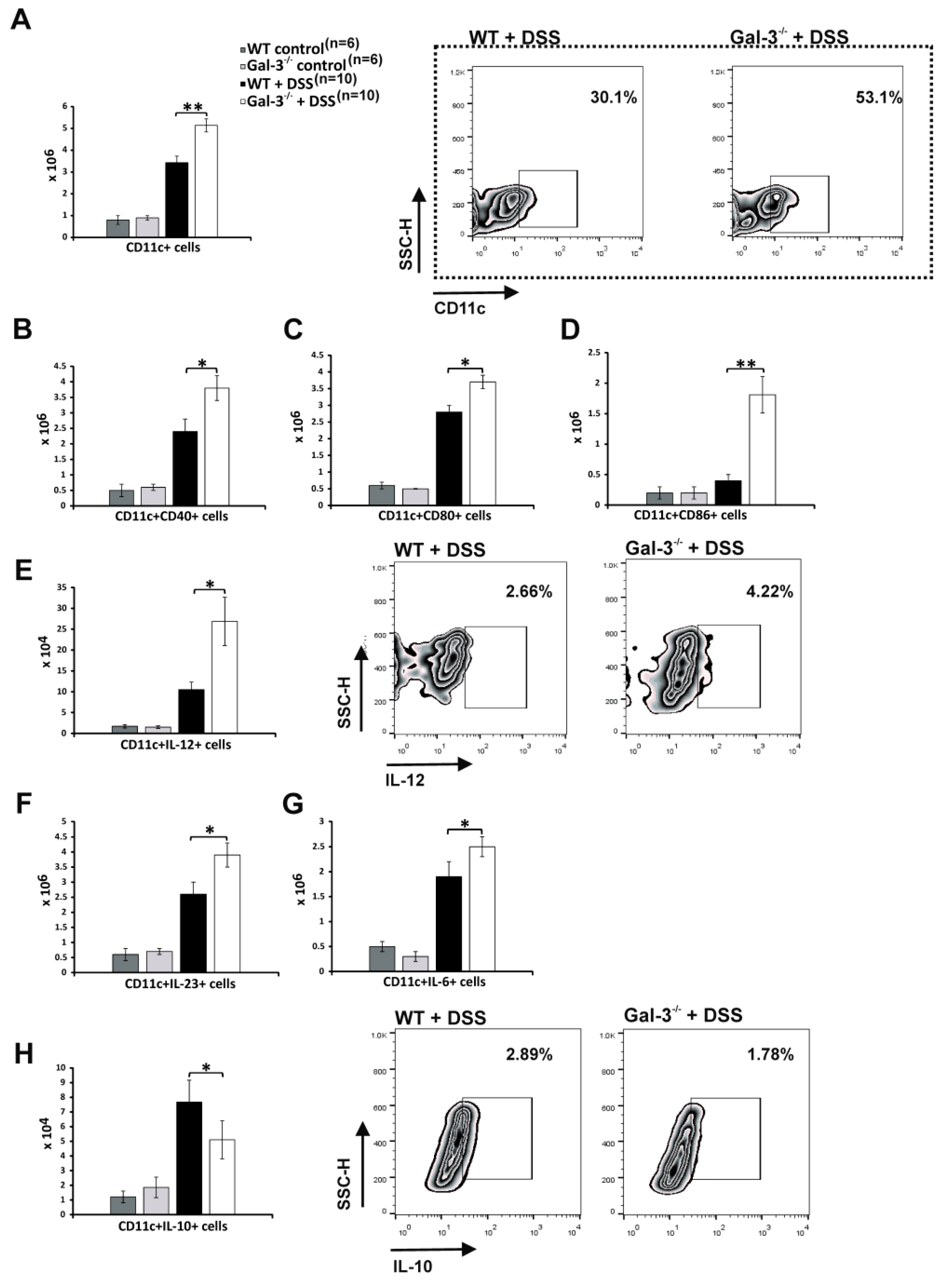 Cells 08 00709 g004 Cells 08 00709 g004