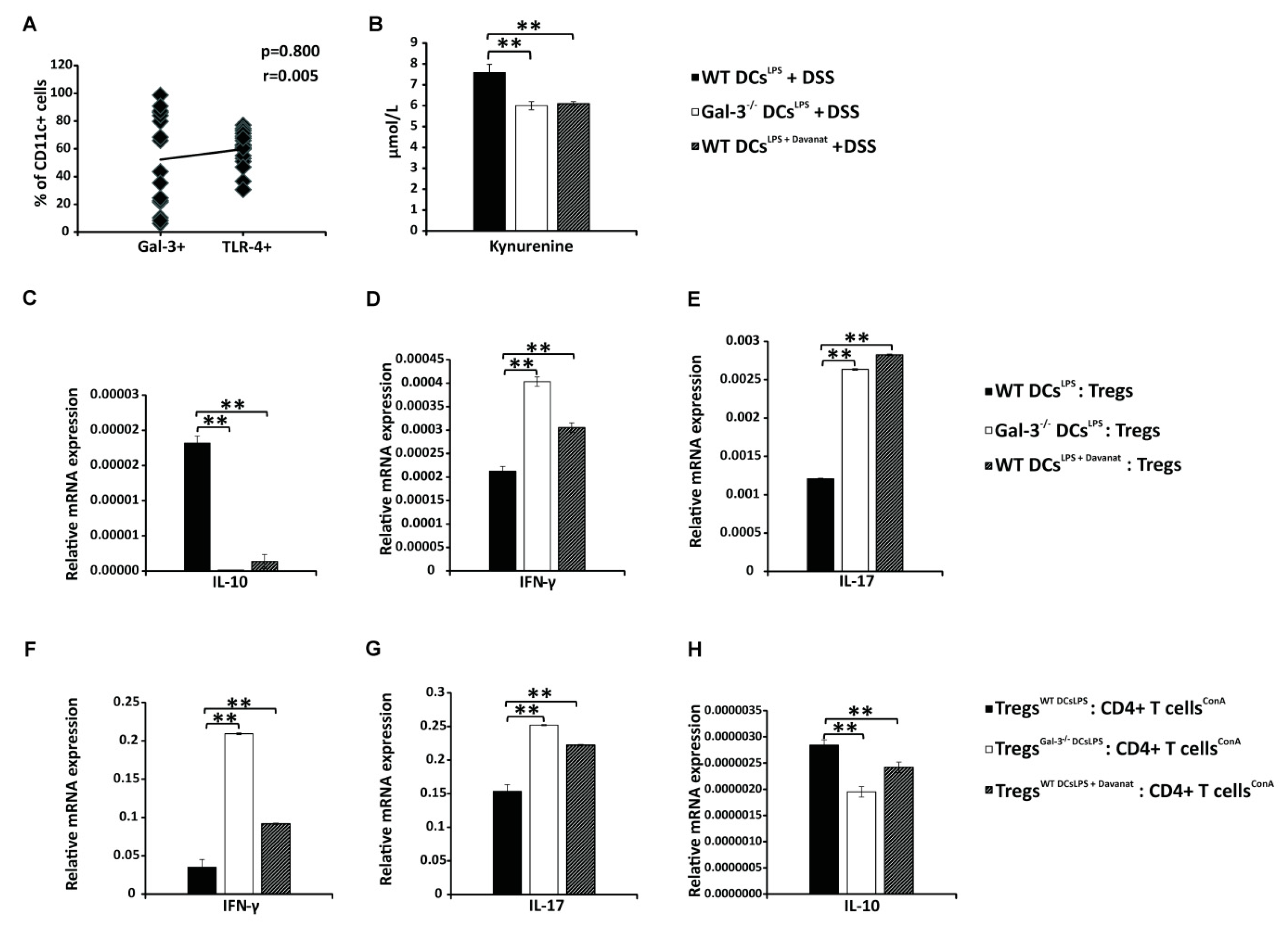 Cells 08 00709 g005 Cells 08 00709 g005