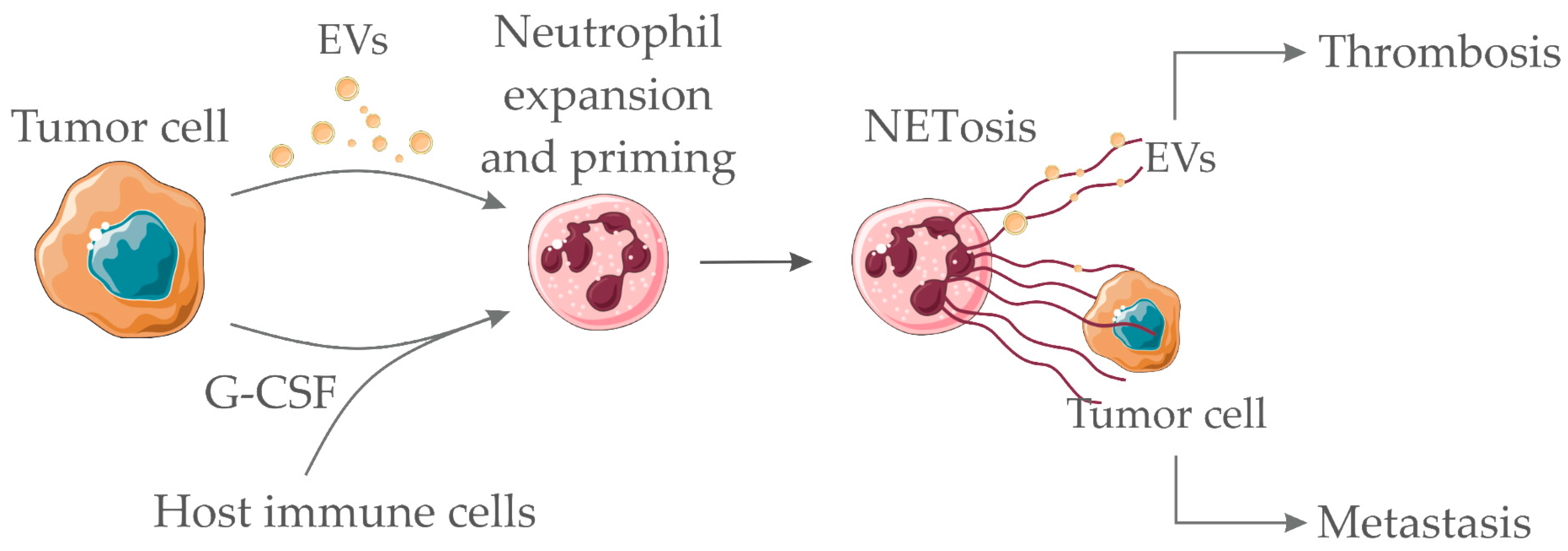 Cells 08 00716 g002 Cells 08 00716 g002