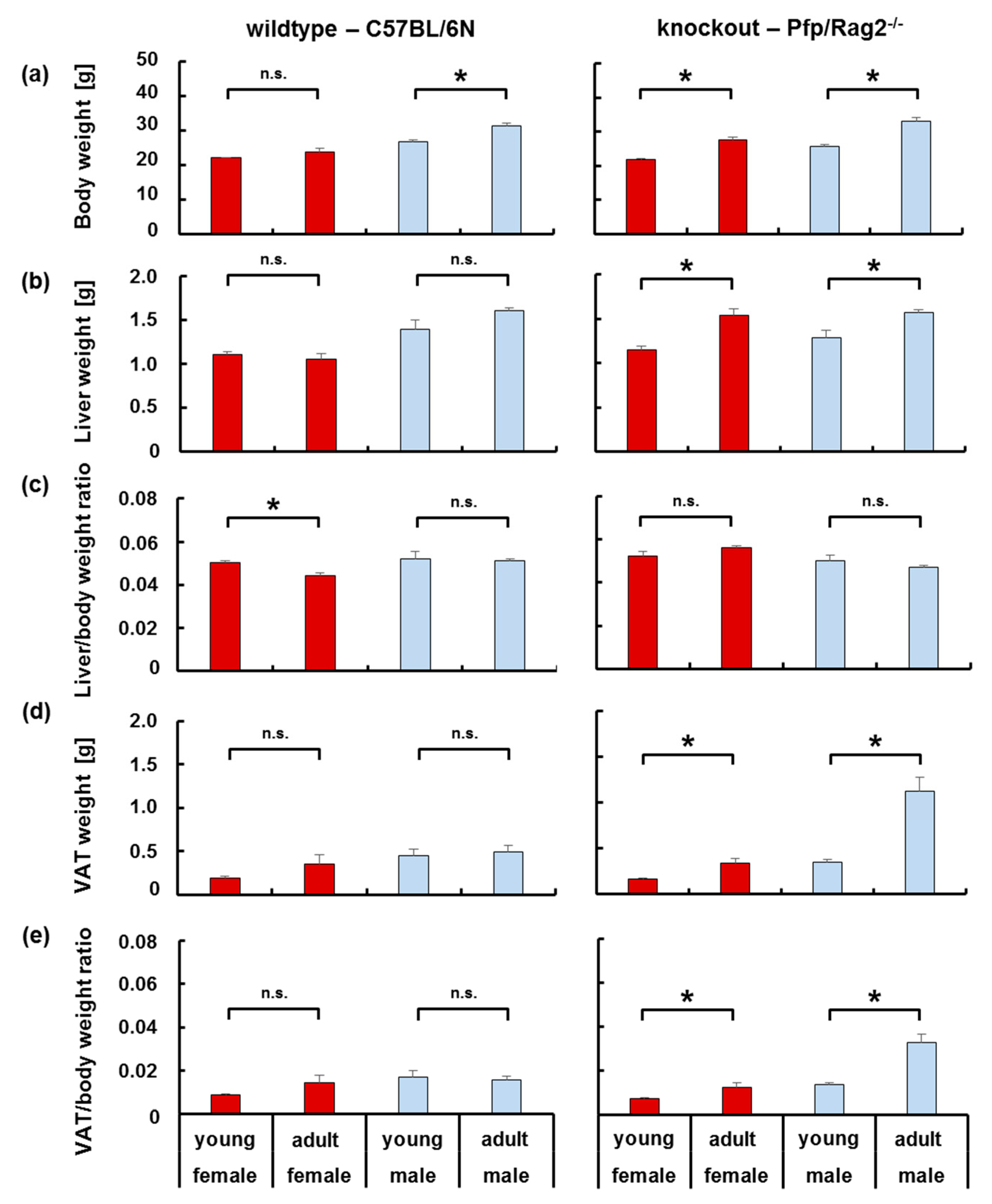 cells free full text immune deficient pfp rag2 mice featured higher adipose tissue mass and liver lipid accumulation with growing age than wildtype c57bl 6n mice html liver lipid accumulation