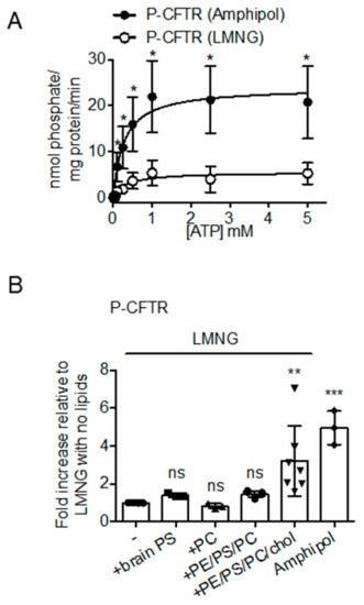 Cells Free Full Text Cholesterol Interaction Directly Enhances Intrinsic Activity Of The Cystic Fibrosis Transmembrane Conductance Regulator Cftr Html