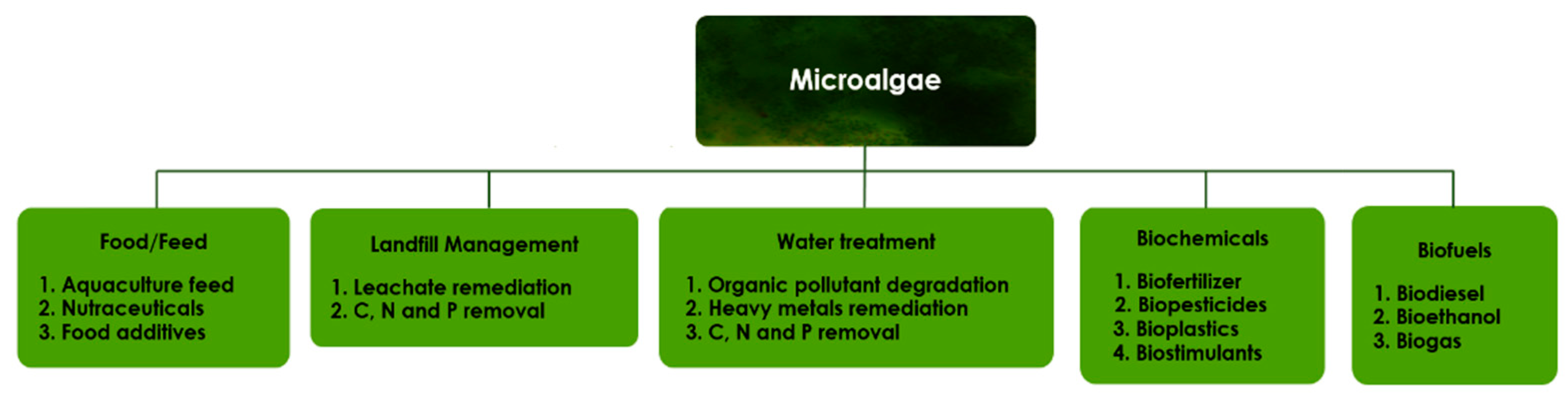 Cells Free Full Text Factors Affecting Microalgae Production For Biofuels And The Potentials Of Chemometric Methods In Assessing And Optimizing Productivity Html