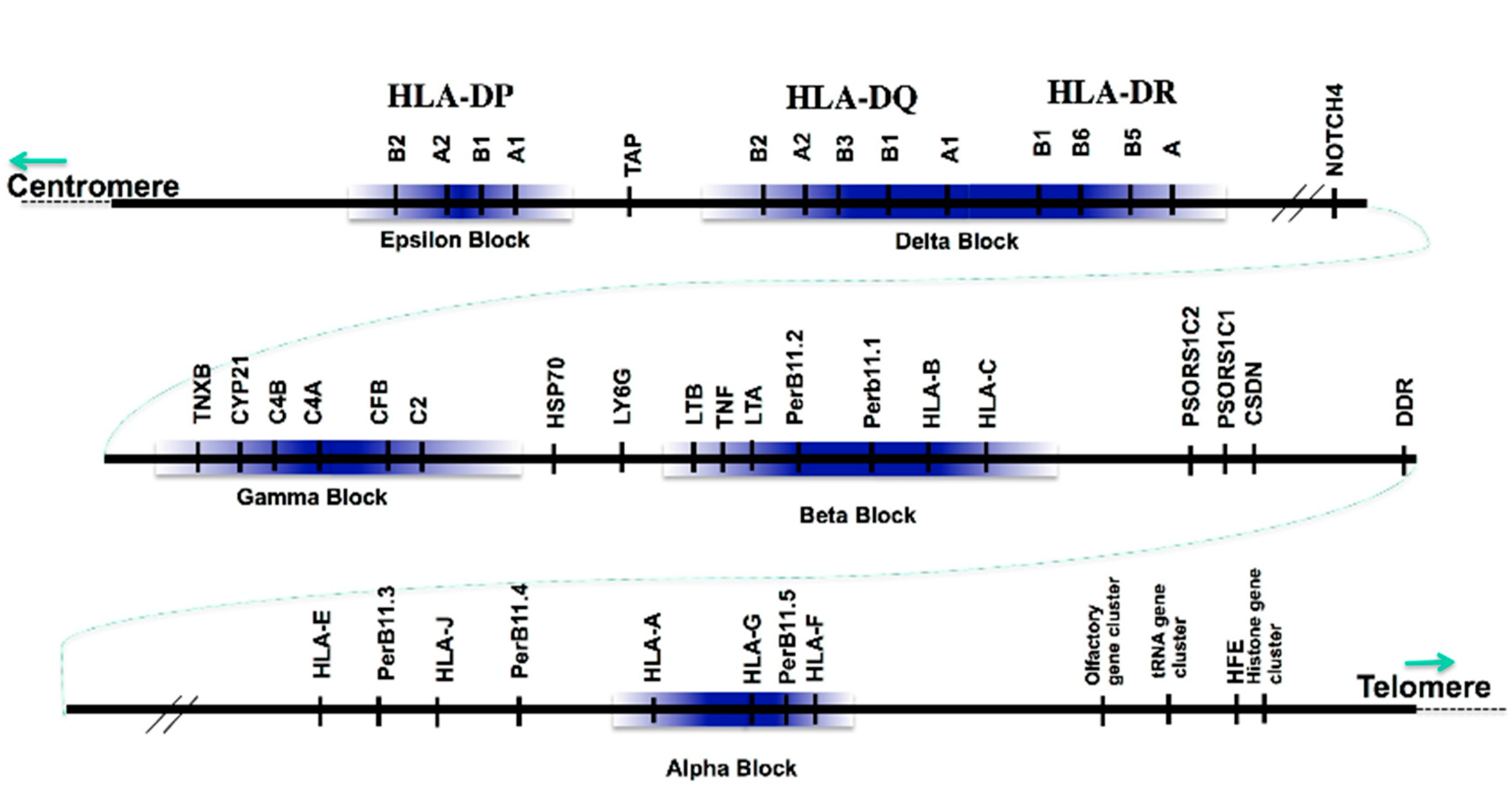 Cells 08 00944 g001 Cells 08 00944 g001