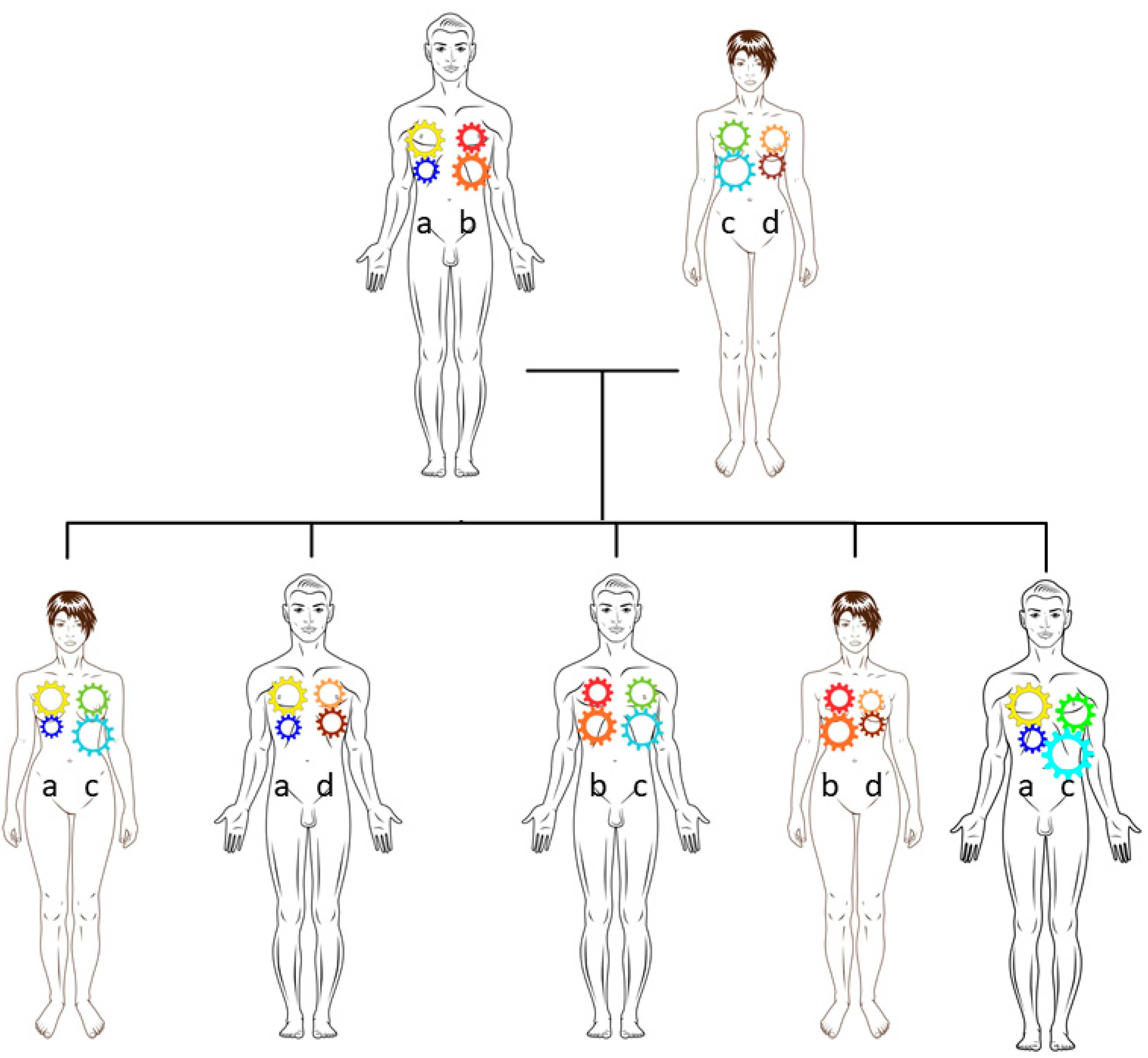 Cells 08 00944 g003 Cells 08 00944 g003