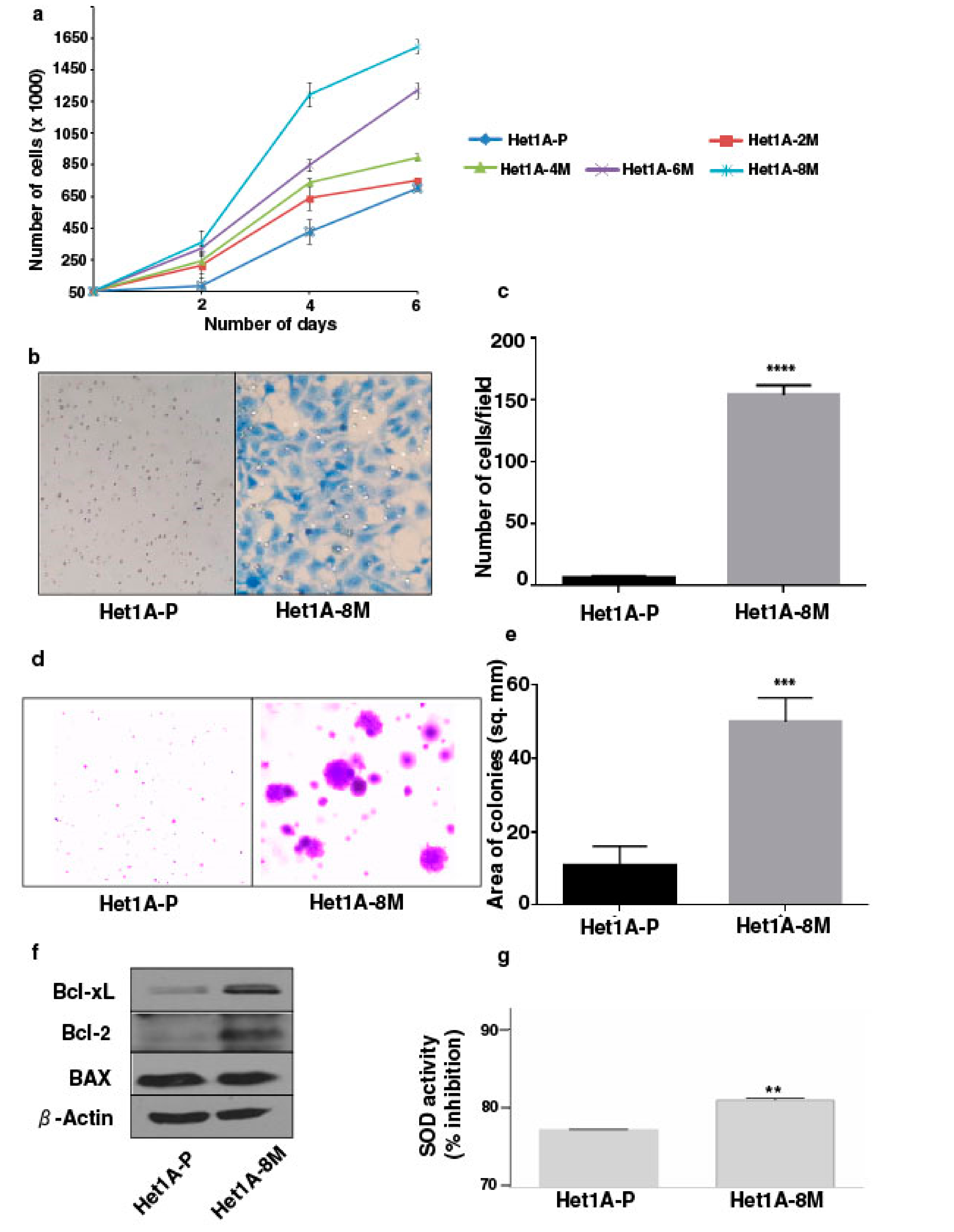 Cells 08 00949 g001 Cells 08 00949 g001