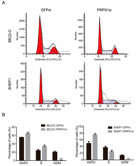 Cells | Free Full-Text | Down-Regulation of Phosphoribosyl ...