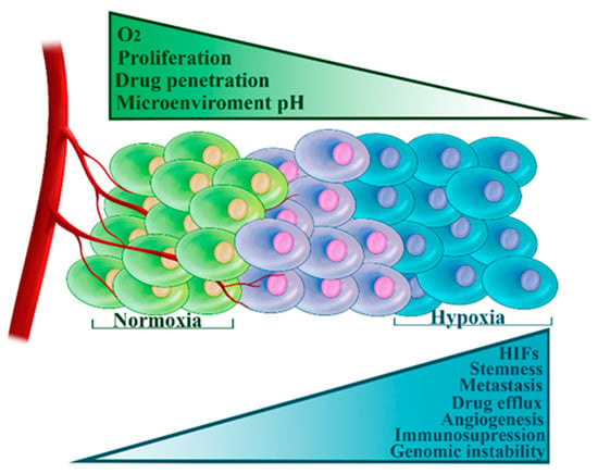 Cells | Free Full-Text | Mechanisms of Chemotherapy Resistance in ...