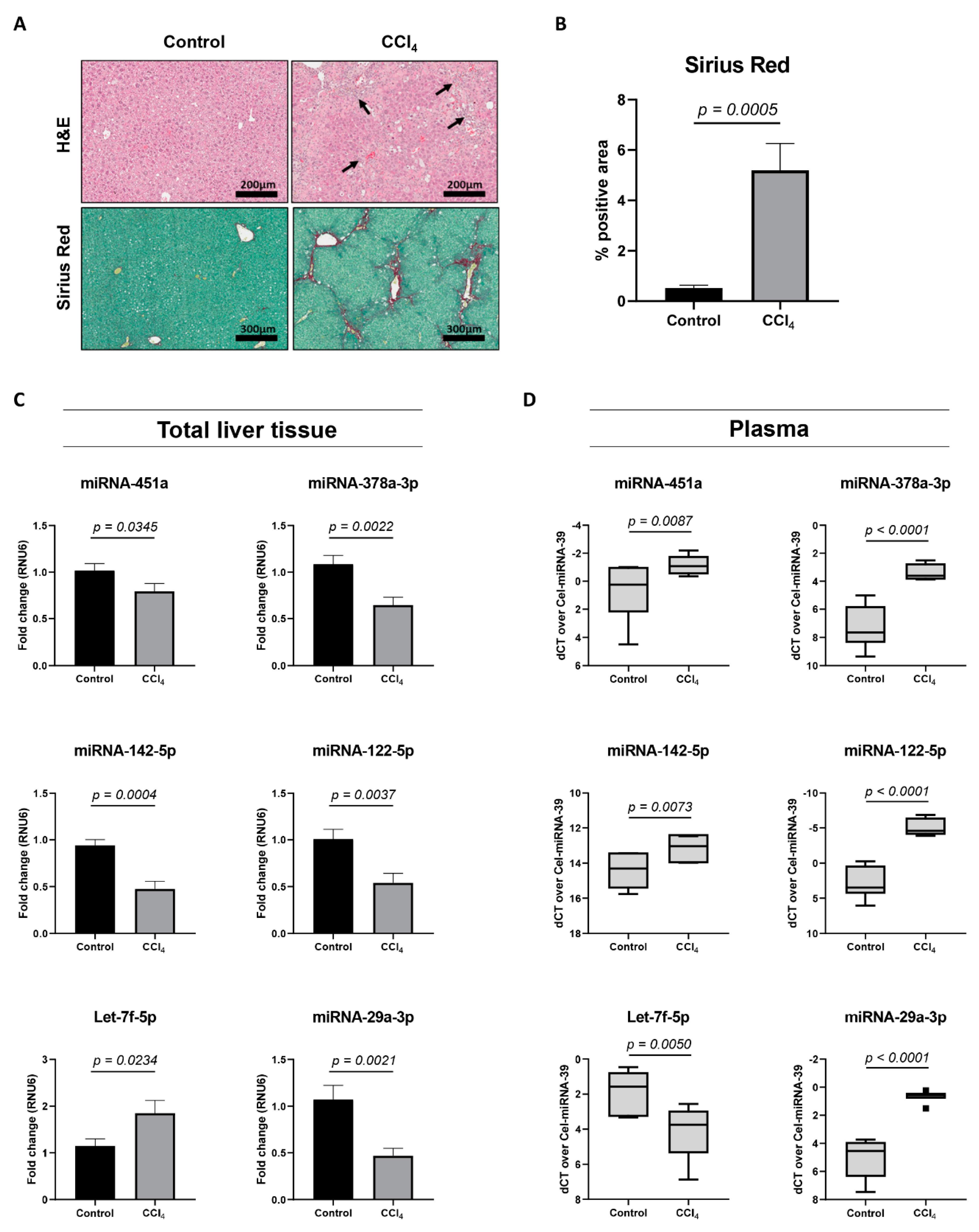 Cells 08 01003 g003 Cells 08 01003 g003