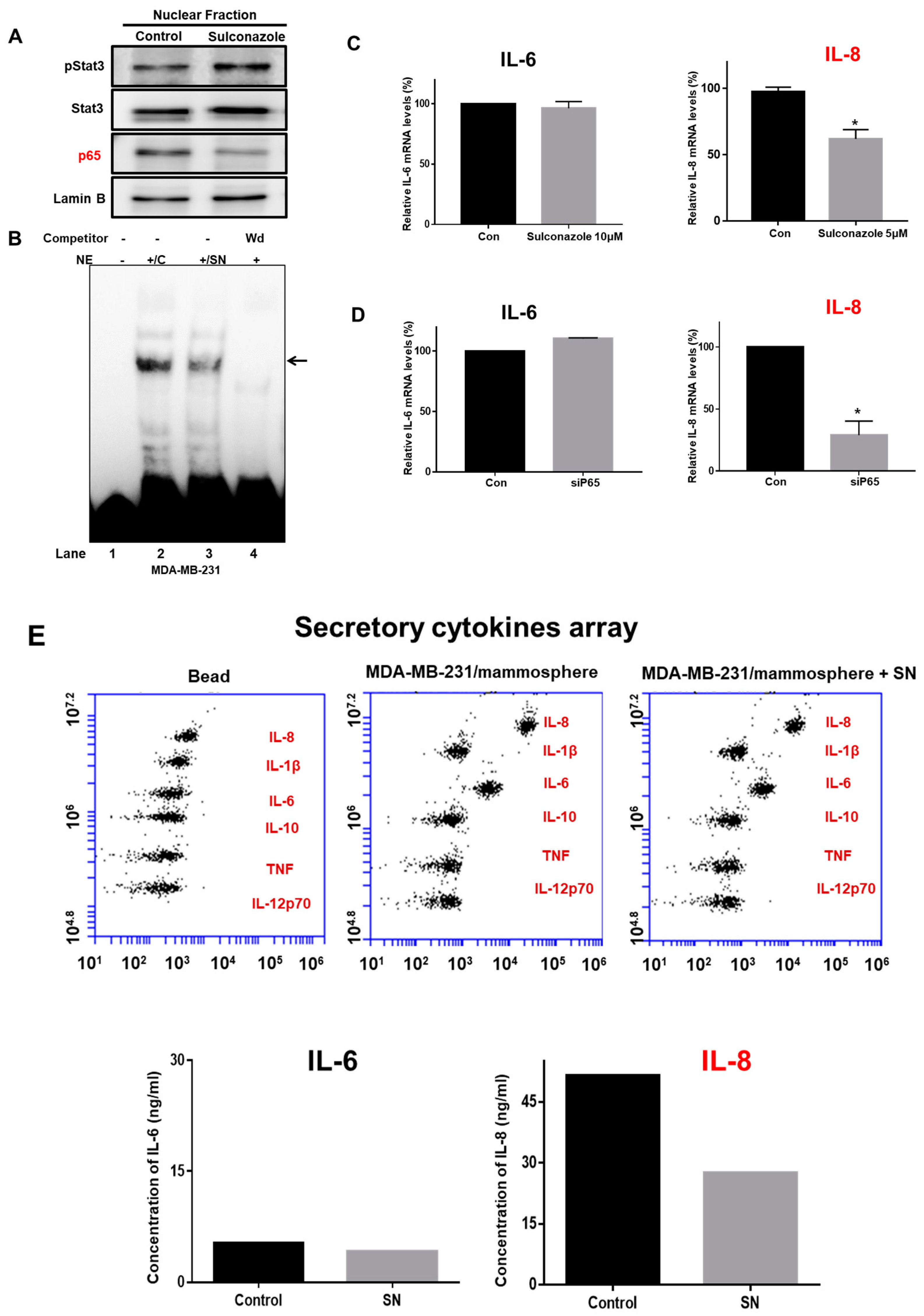 Cells 08 01007 g006 Cells 08 01007 g006