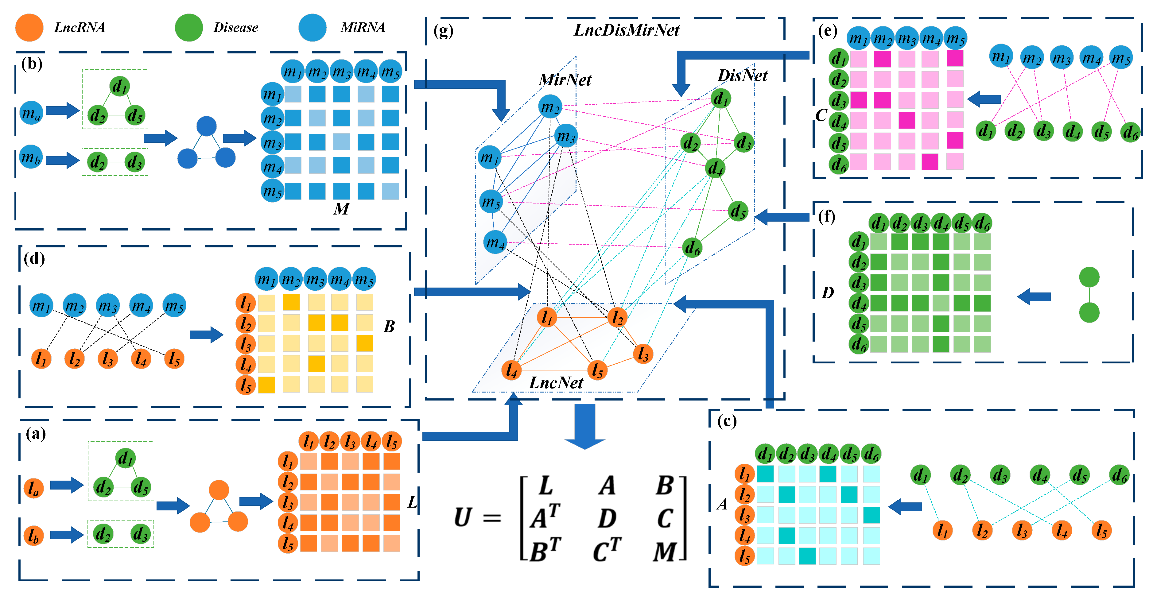 Convolutional Neural Network Filters. Net 81