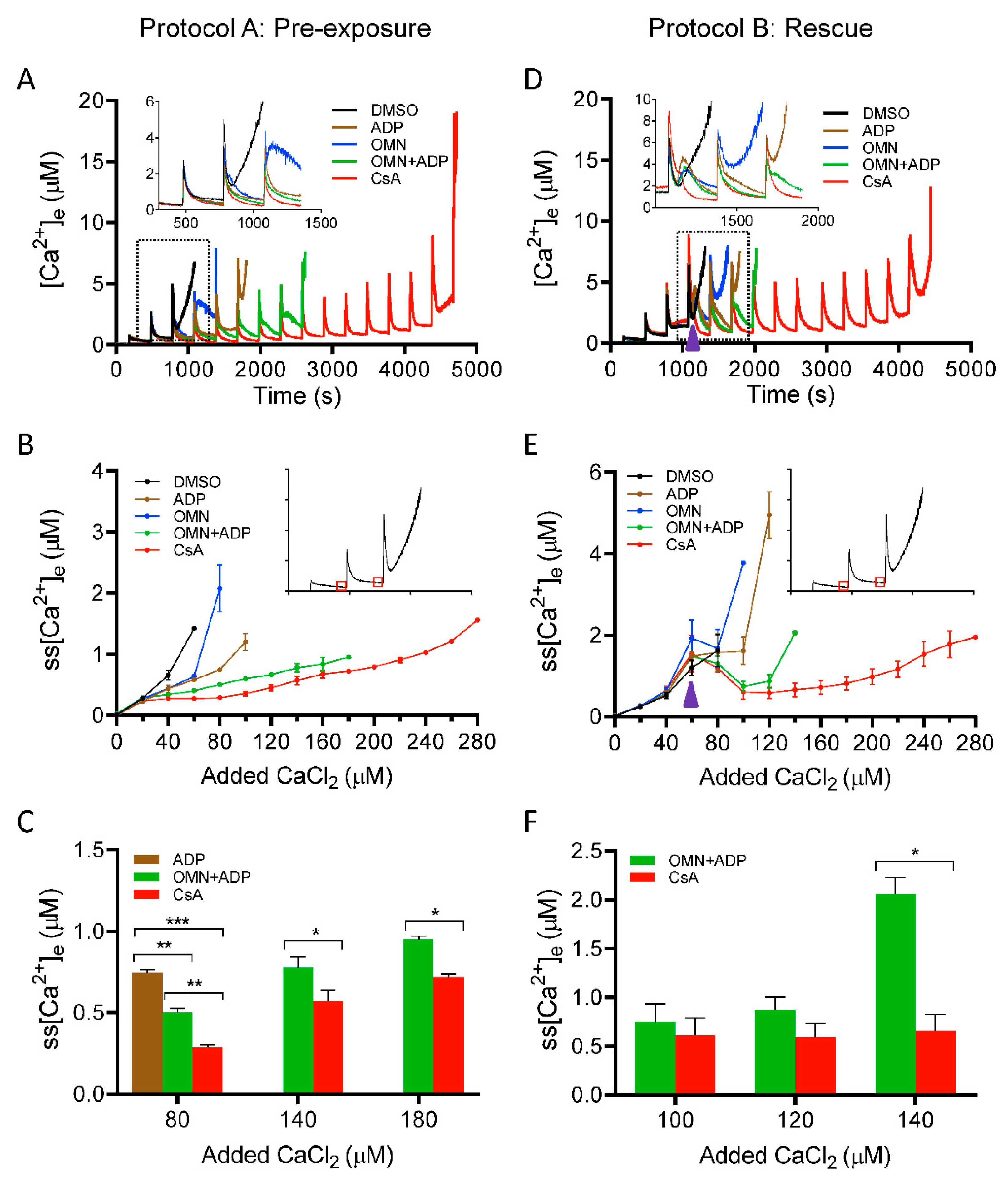 Cells 08 01052 g002 Cells 08 01052 g002