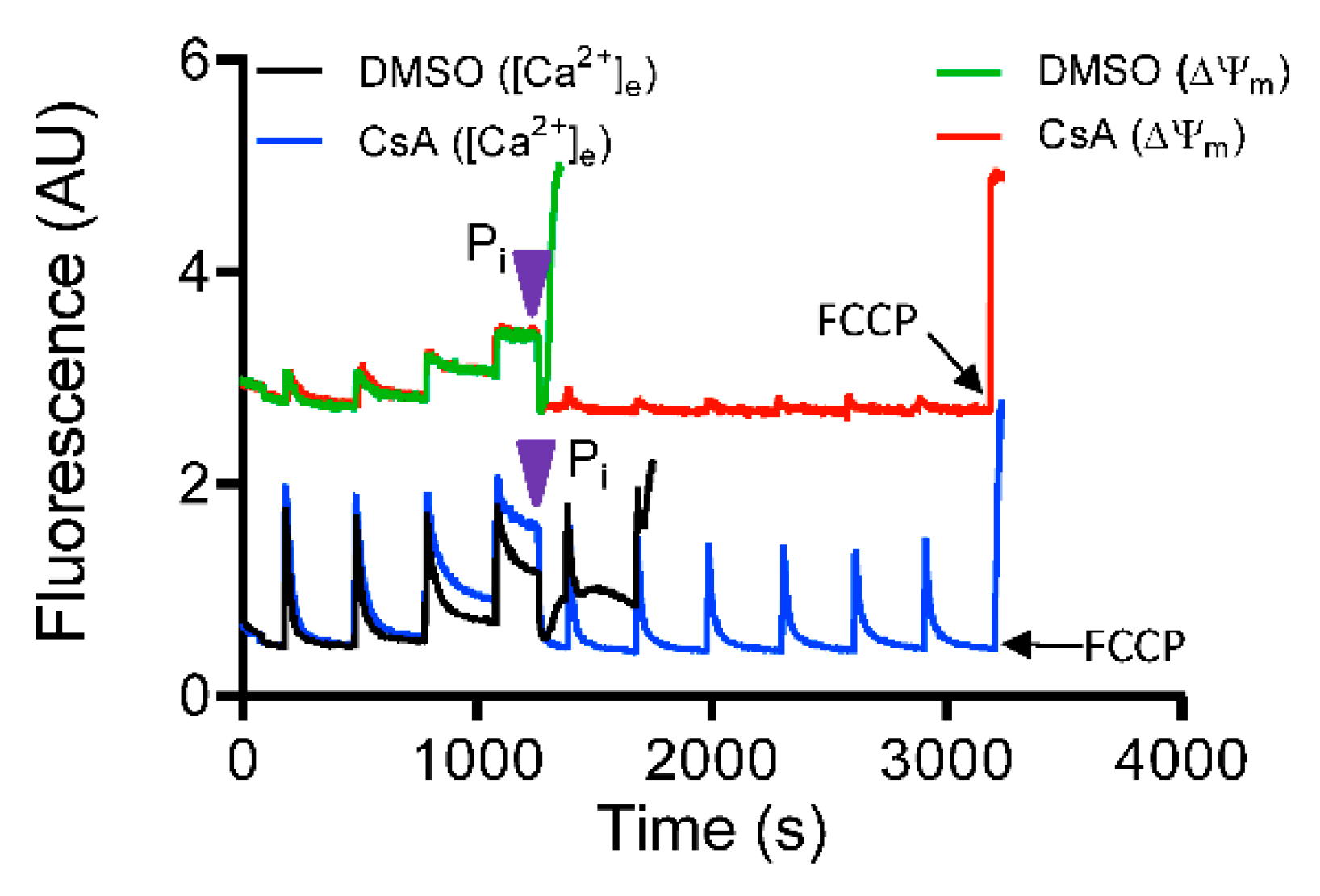 Cells 08 01052 g008 Cells 08 01052 g008