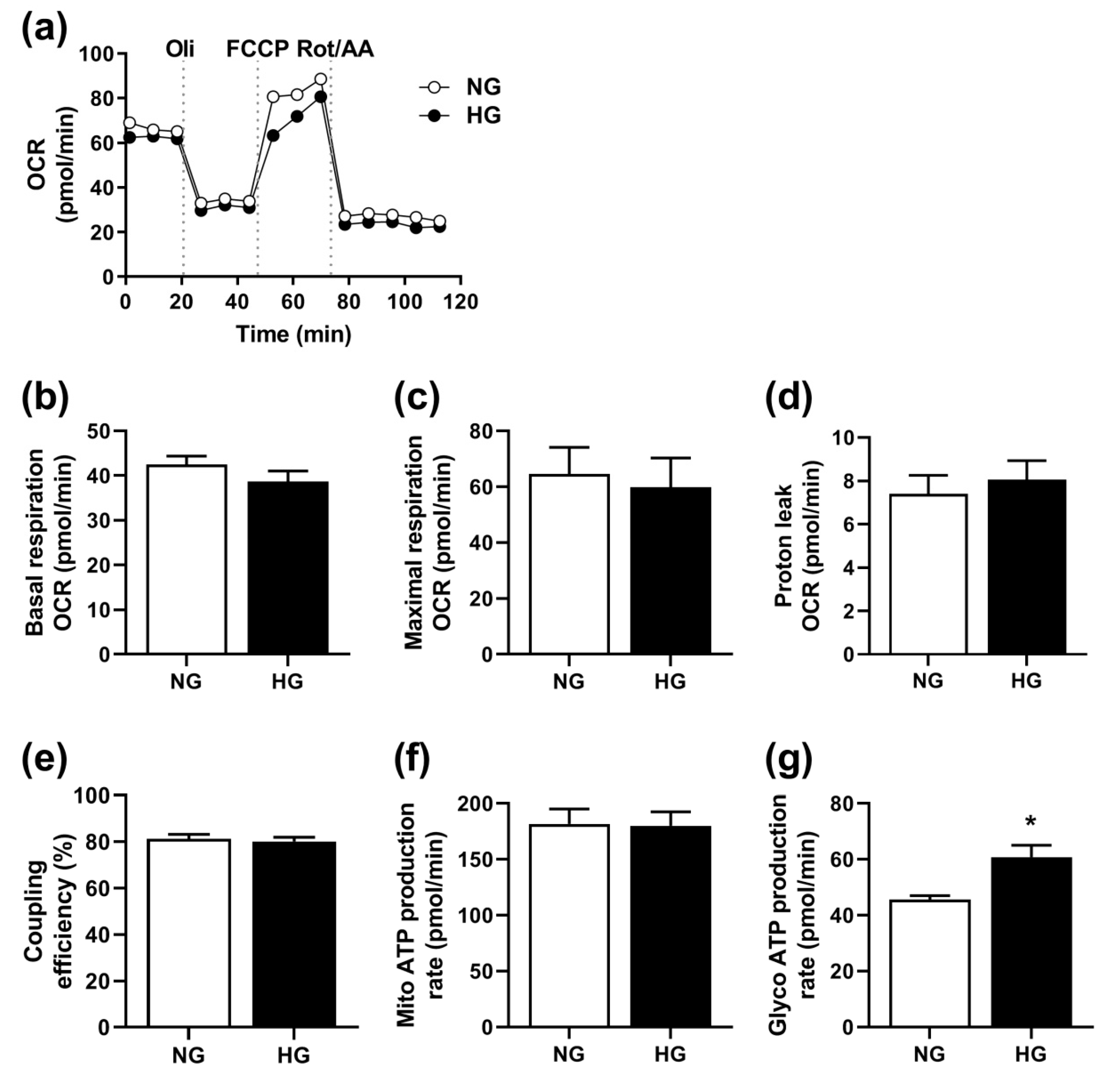 Cells Free Full Text Increased Glycolysis And Higher Lactate Production In Hyperglycemic Myotubes Html