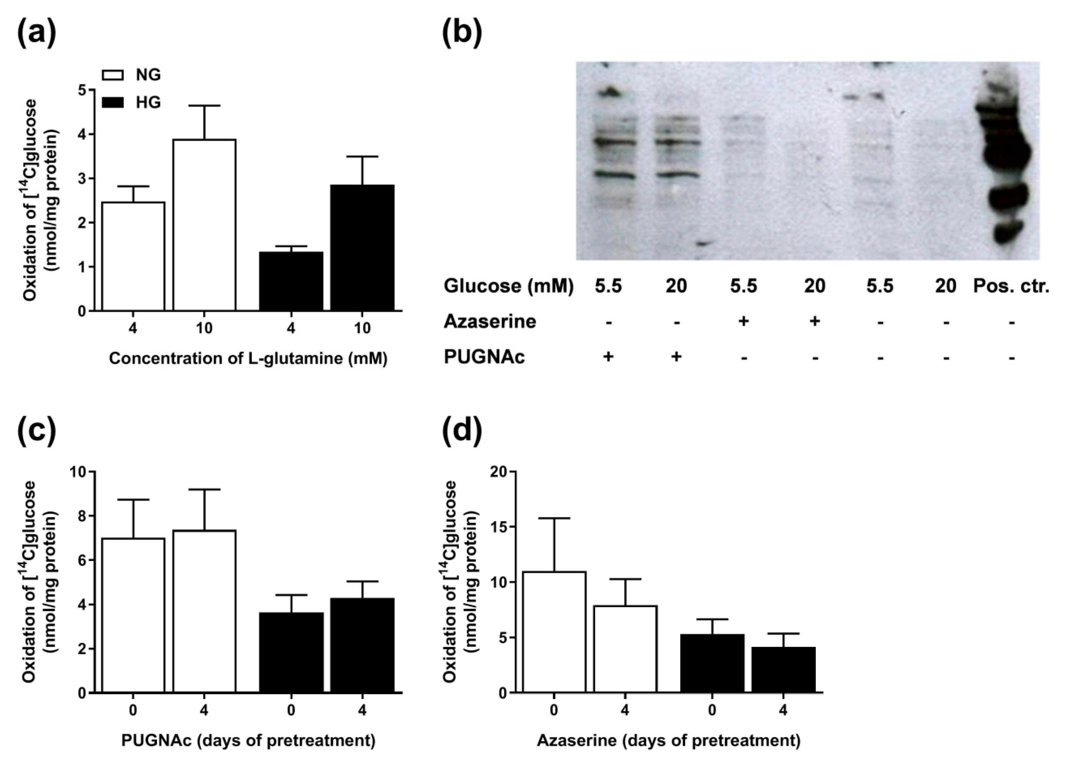 Cells 08 01101 g008 Cells 08 01101 g008