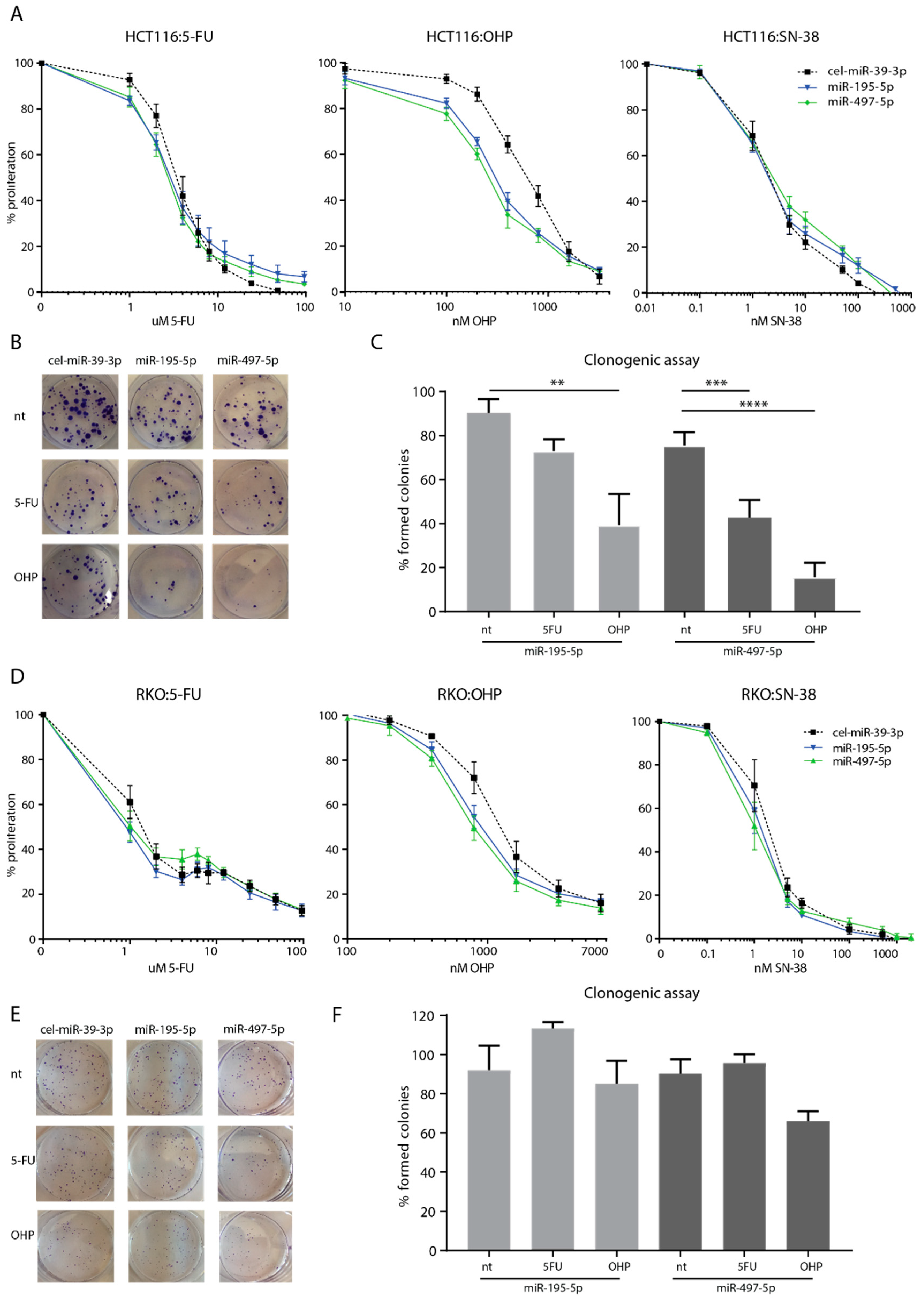 Cells 08 01111 g002 Cells 08 01111 g002