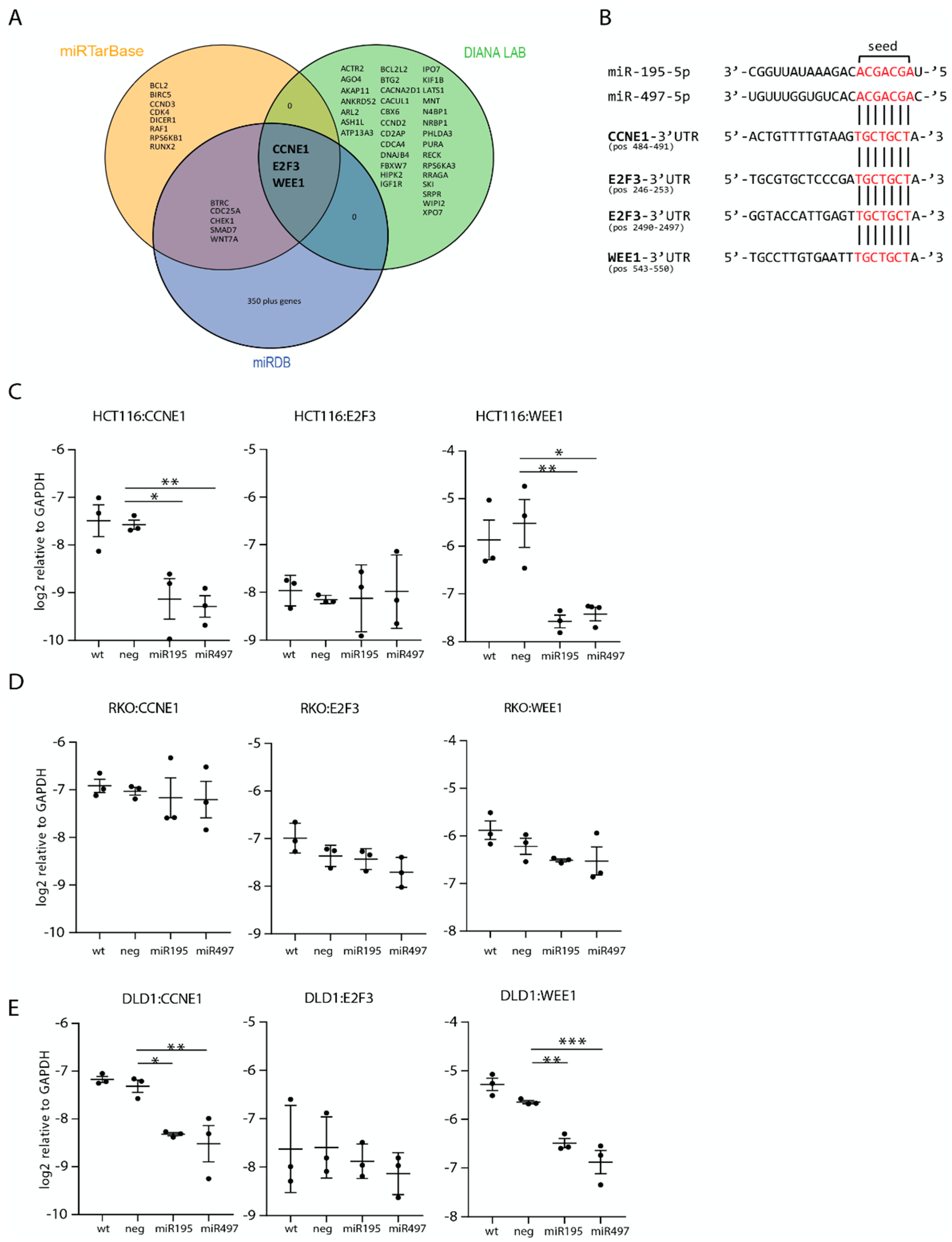 Cells 08 01111 g003 Cells 08 01111 g003