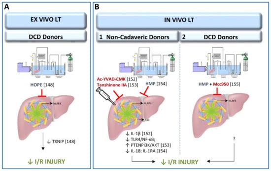 Cells Free Full Text Inflammasome Mediated Inflammation In Liver Ischemia Reperfusion Injury Html