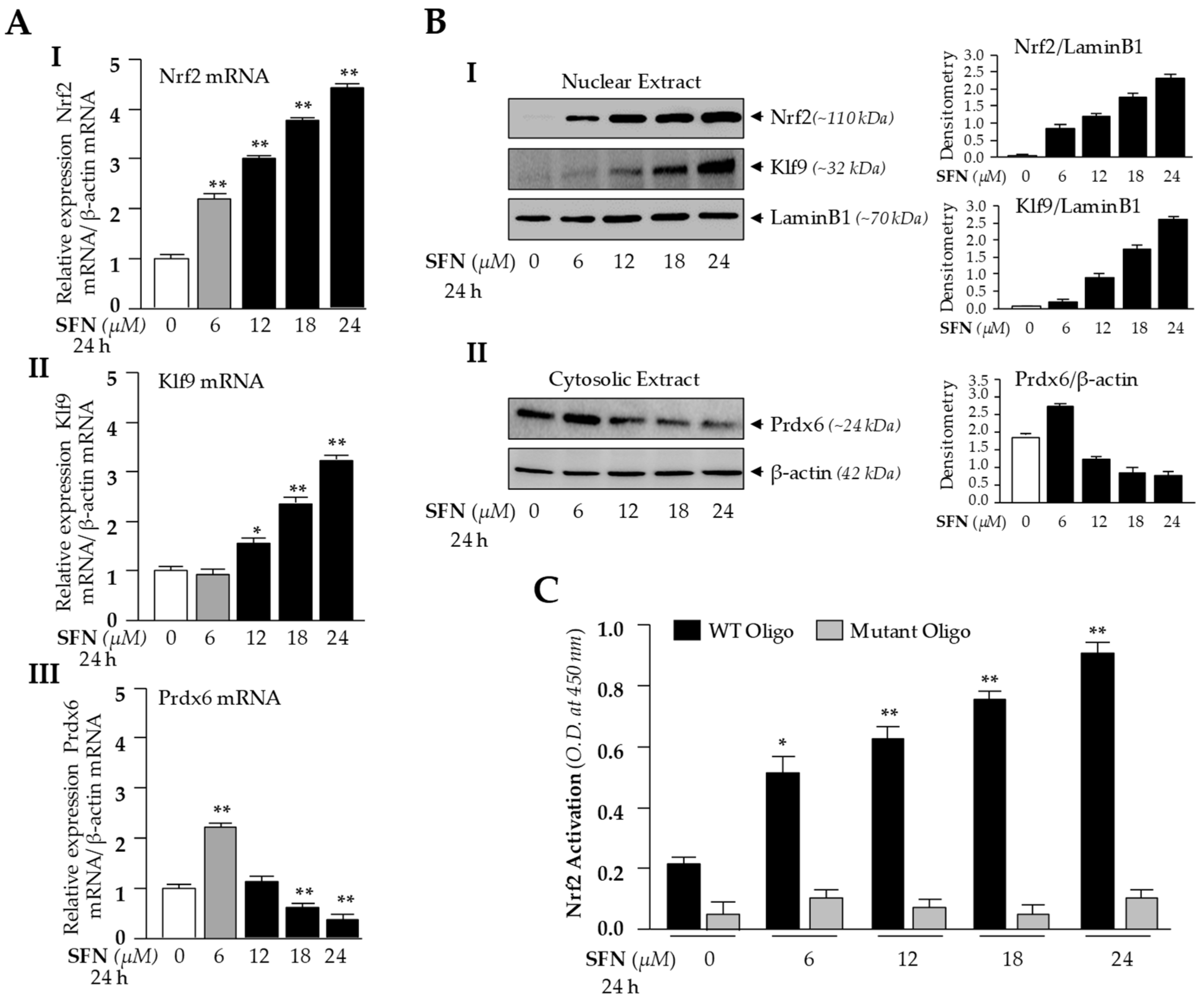 Cells 08 01159 g002 Cells 08 01159 g002