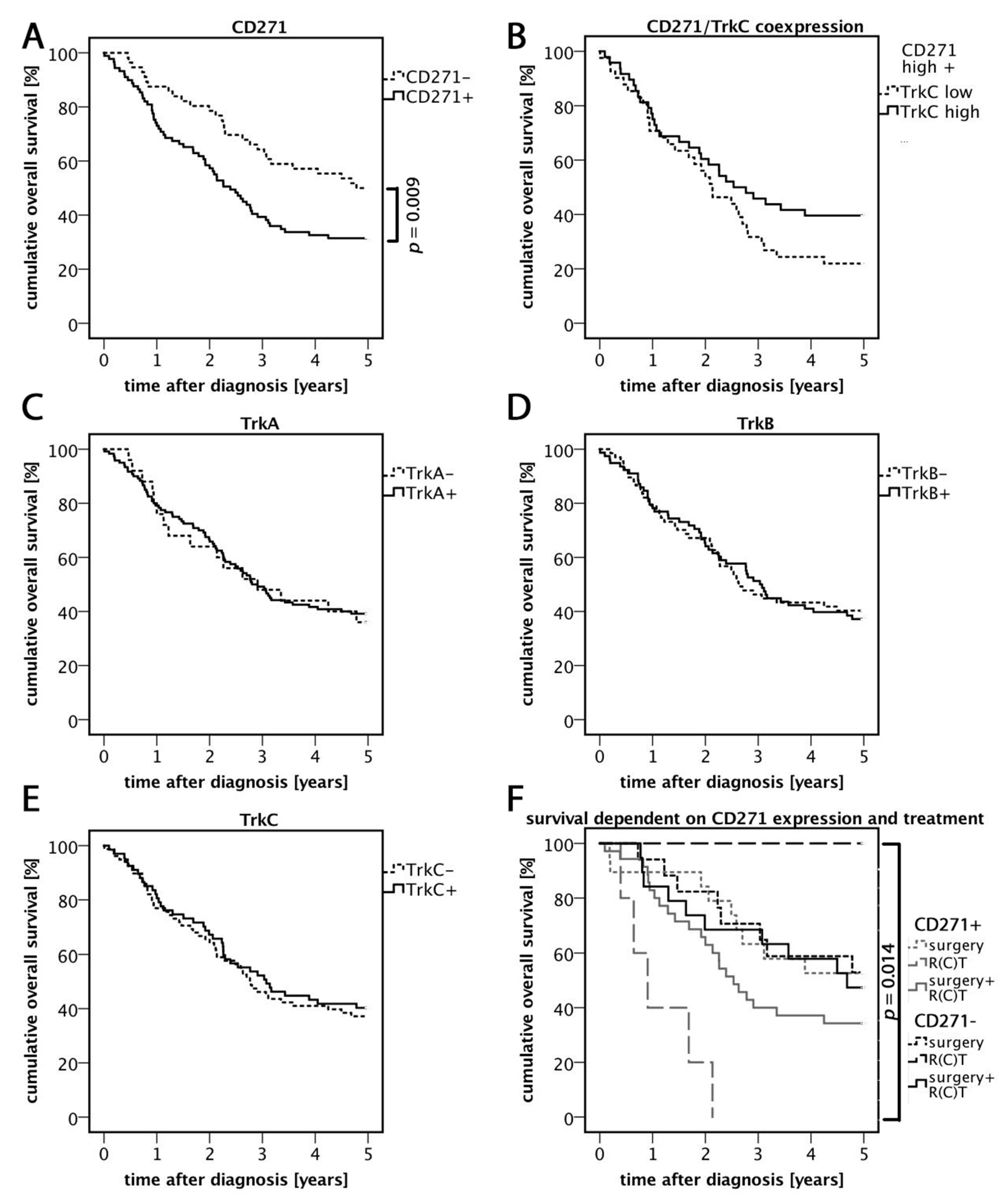 Cells 08 01167 g002 Cells 08 01167 g002