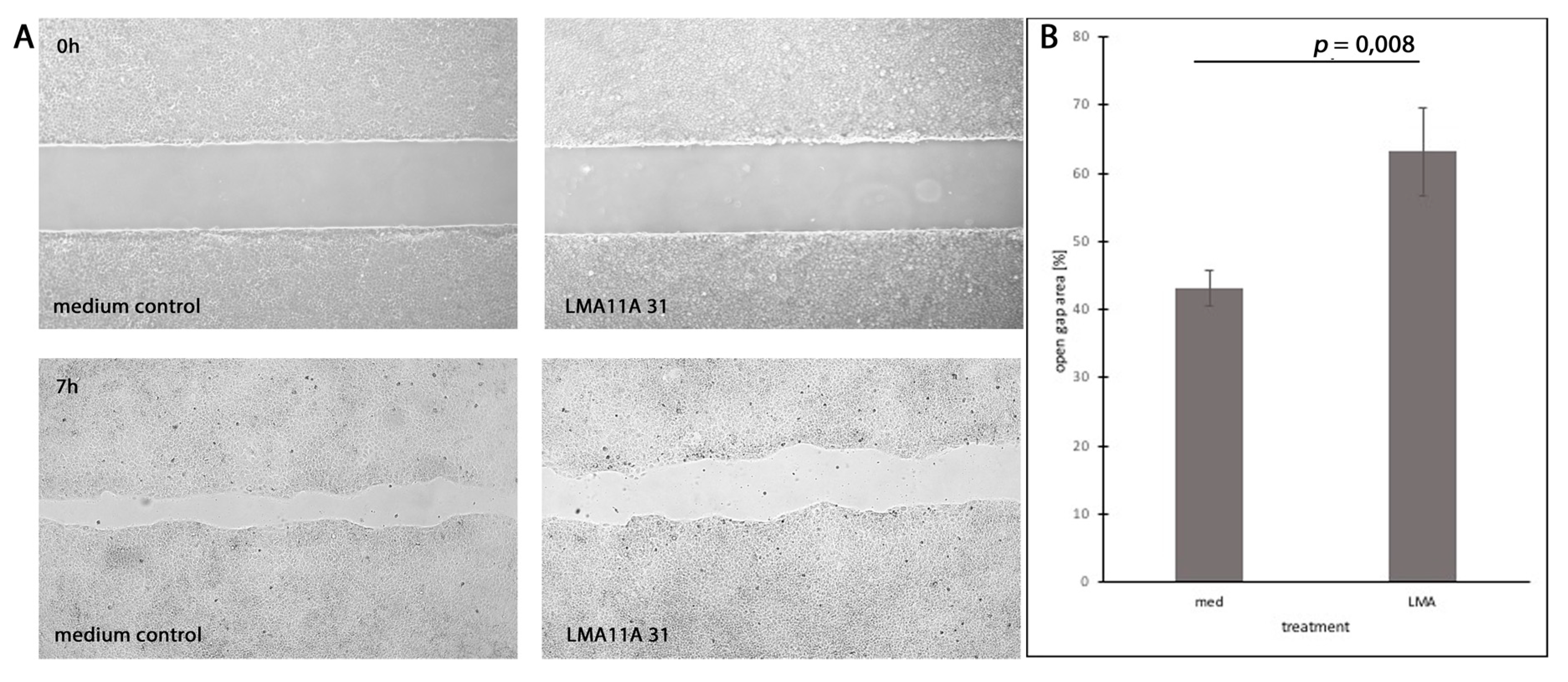 Cells 08 01167 g005 Cells 08 01167 g005