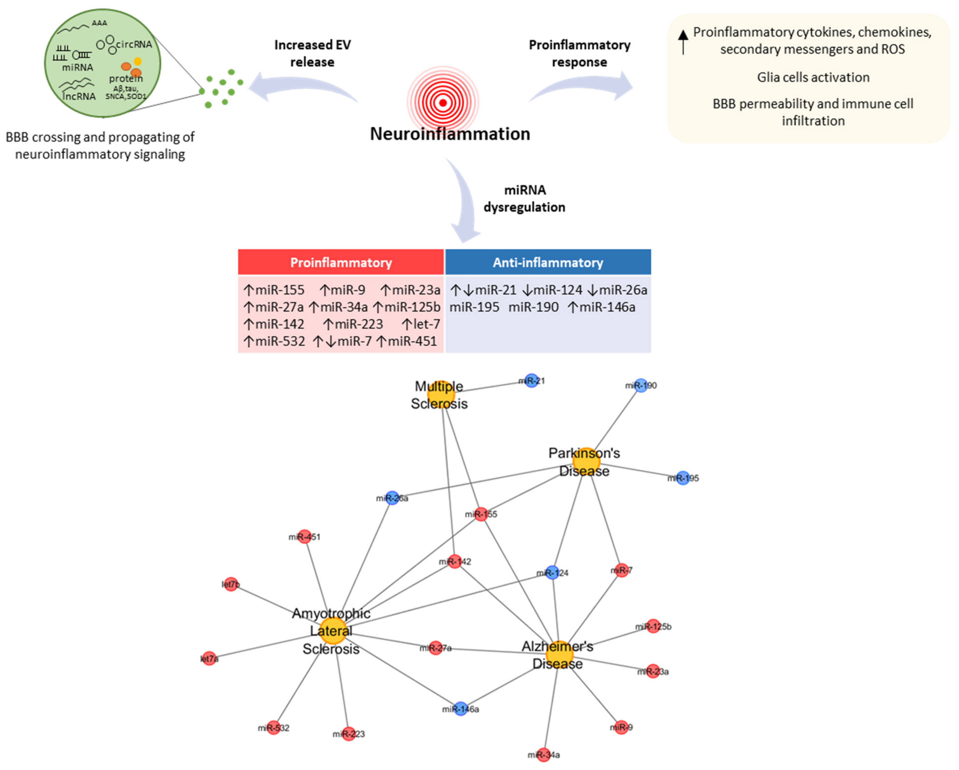 Cells Free Full Text The Microrna Centrism In The Orchestration Of Neuroinflammation In Neurodegenerative Diseases Html