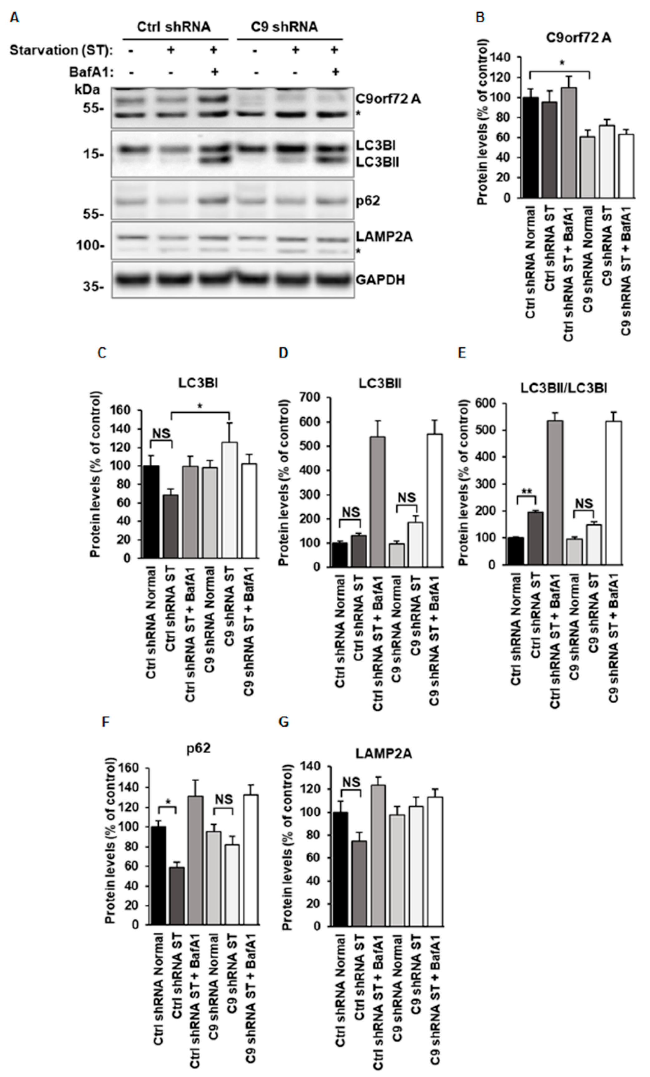 Cells 08 01233 g001 Cells 08 01233 g001