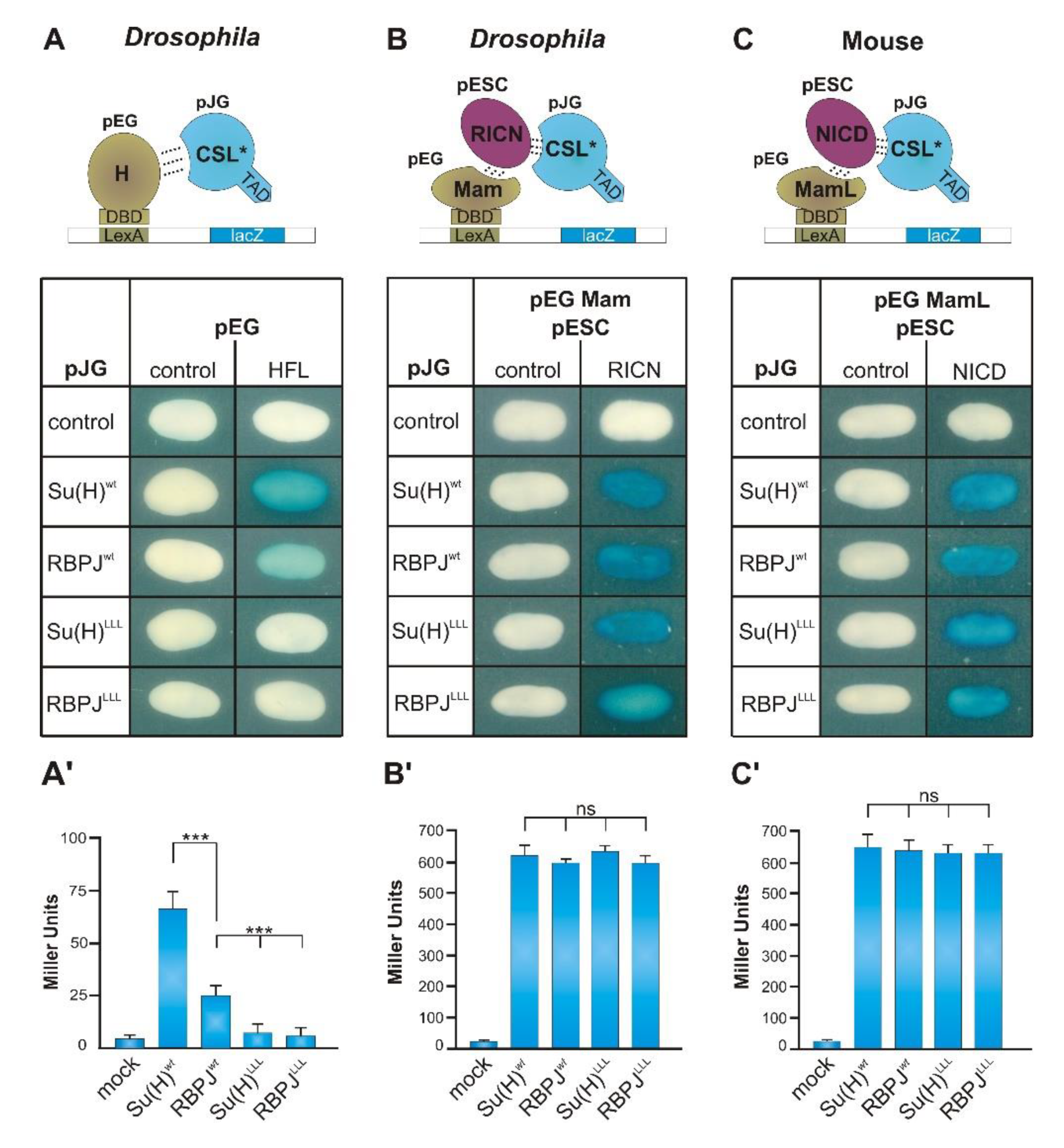Cells 08 01252 g003 Cells 08 01252 g003
